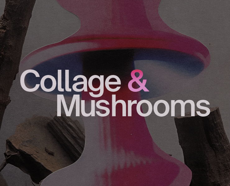 Проект Collage & Mushrooms — Иллюстрация, Графика на Dprofile