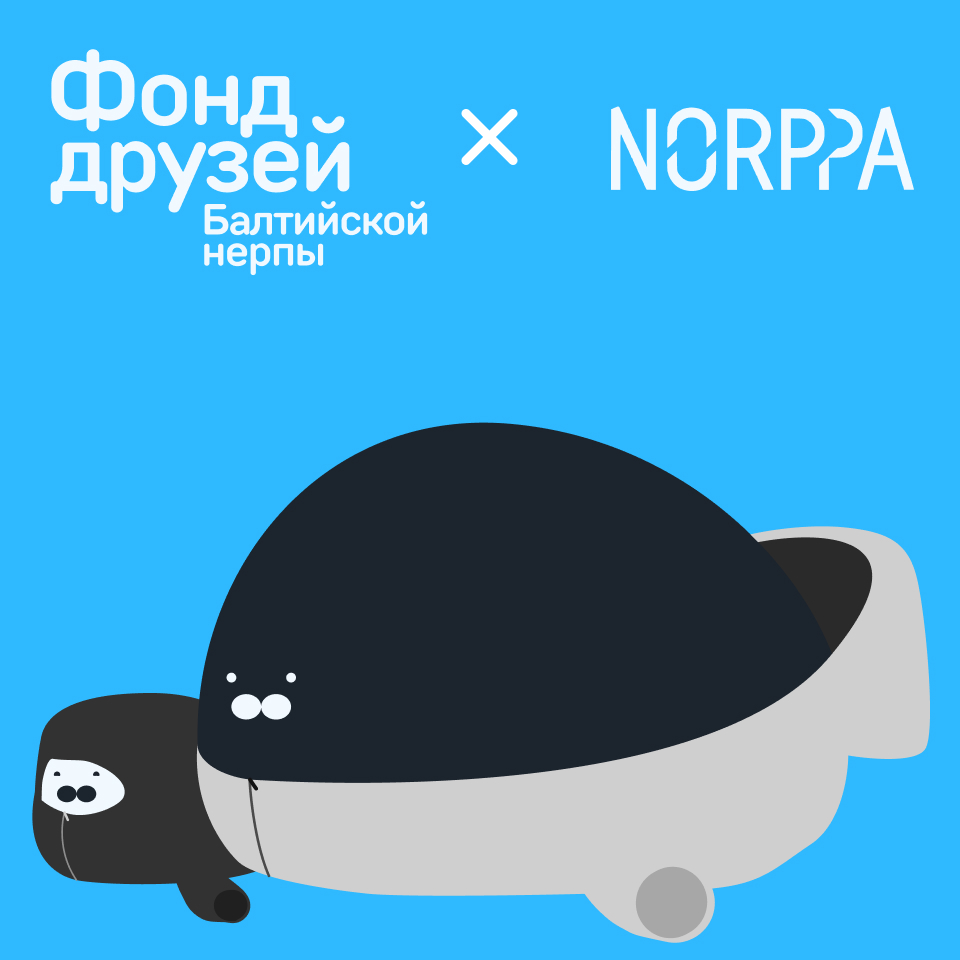 Фонд друзей Балтийской нерпы — Изображение №10 — Брендинг, Анимация на Dprofile
