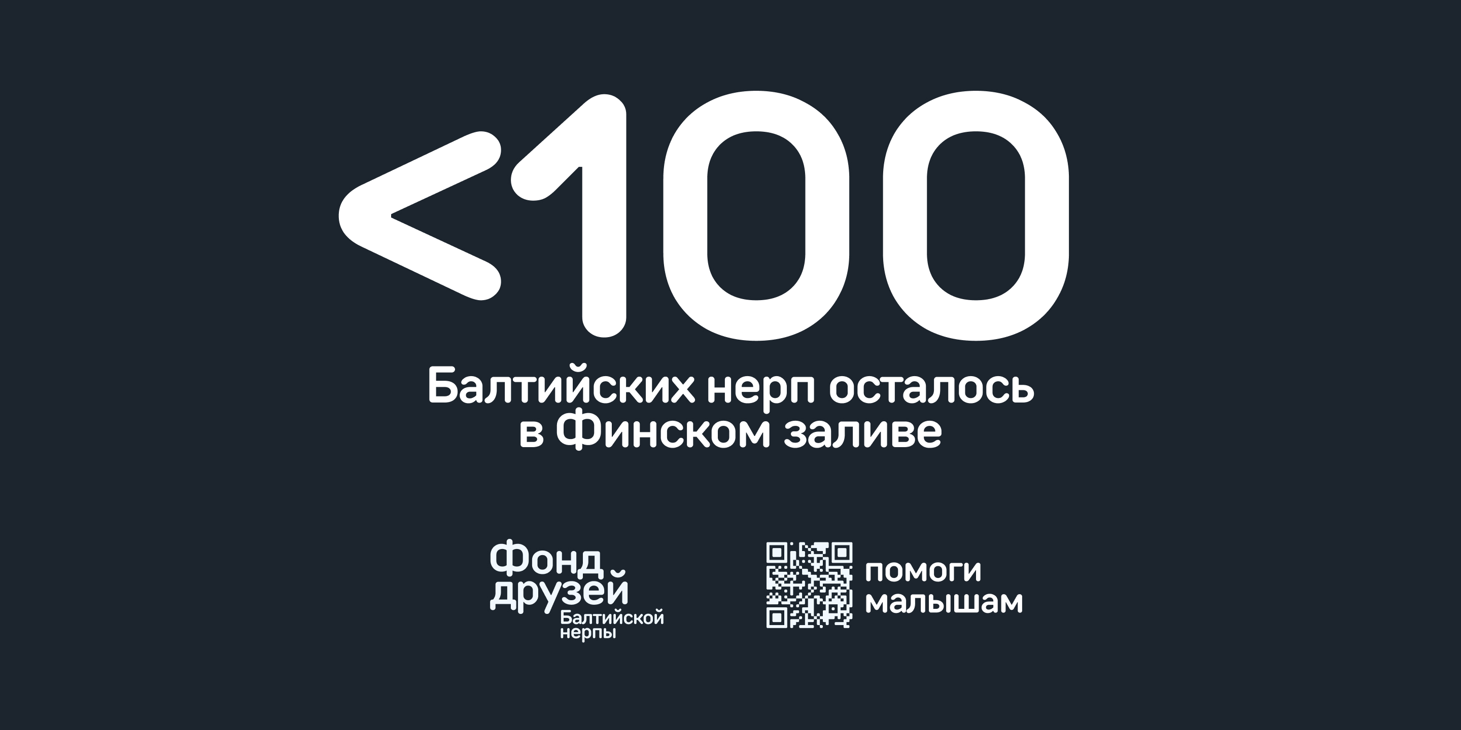 Фонд друзей Балтийской нерпы — Изображение №8 — Брендинг, Анимация на Dprofile