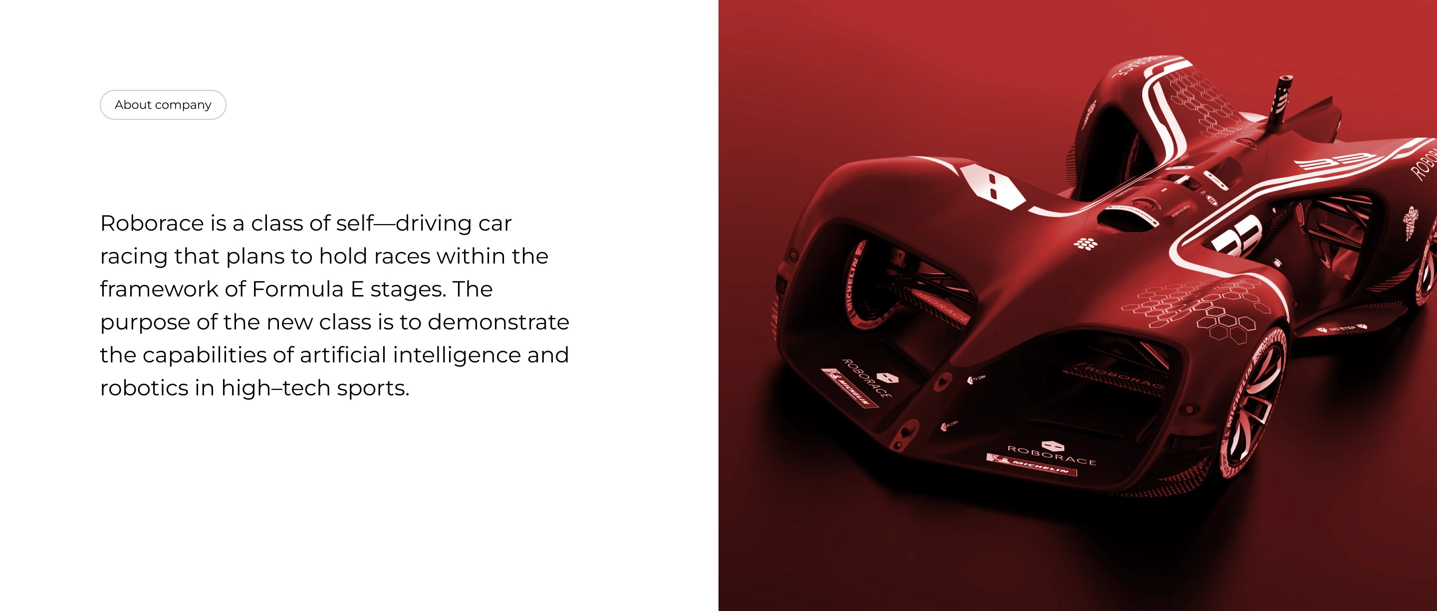 ROBORACE — Изображение №2 — Брендинг на Dprofile