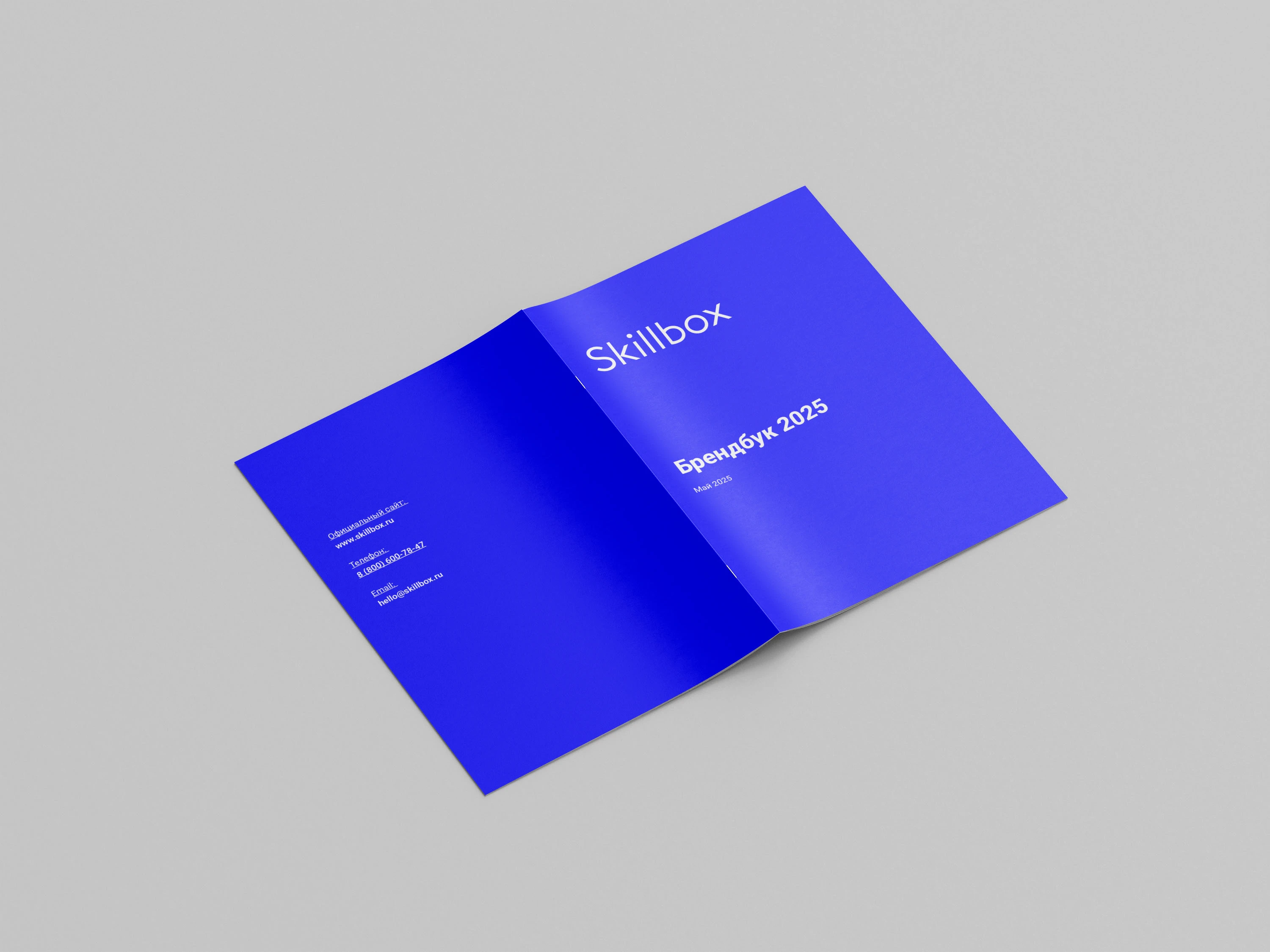 Оформление брендбука для Skillbox — Изображение №13 — Брендинг, Графика на Dprofile