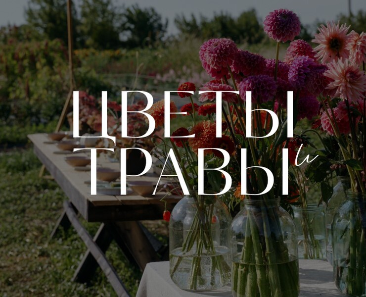 Цветочная ферма. Сайт и интернет-магазин — Интерфейсы, Маркетинг на Dprofile