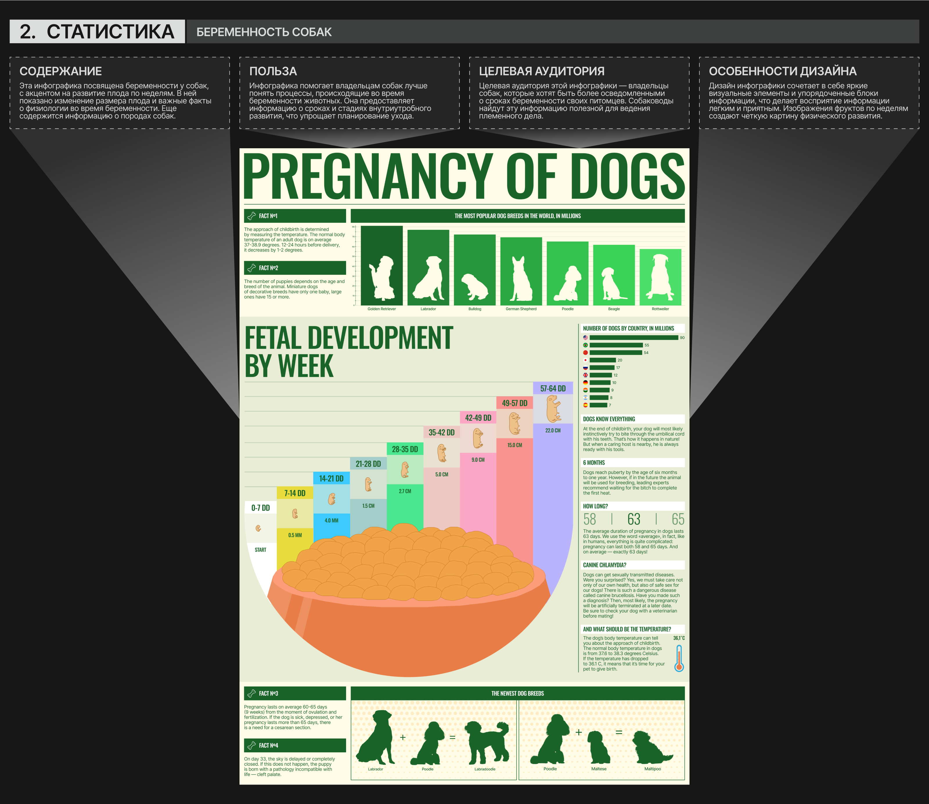 INFOGRAFICS | DATA VISUALIZATION — Изображение №4 — Интерфейсы, Графика на Dprofile