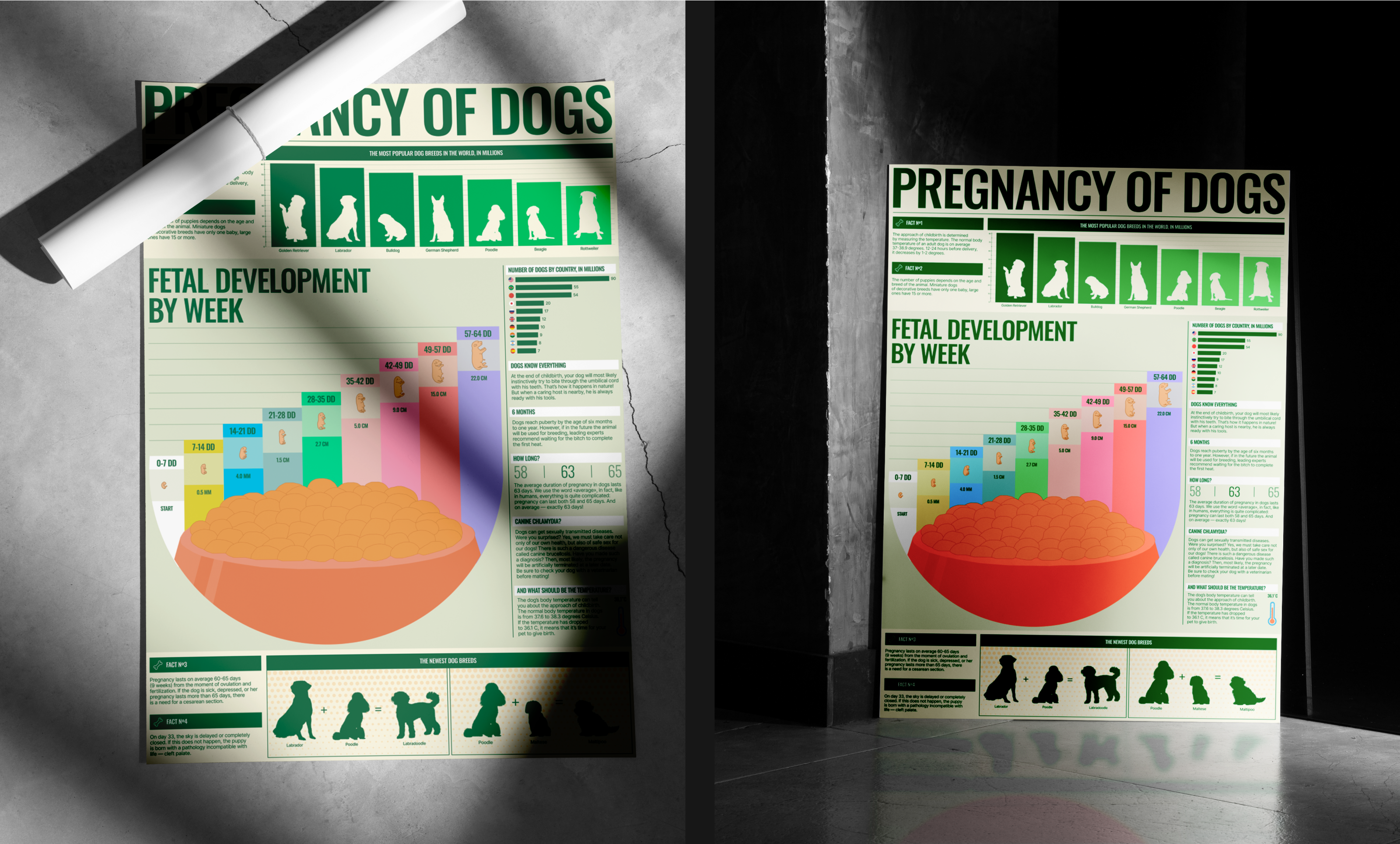 INFOGRAFICS | DATA VISUALIZATION — Изображение №5 — Интерфейсы, Графика на Dprofile