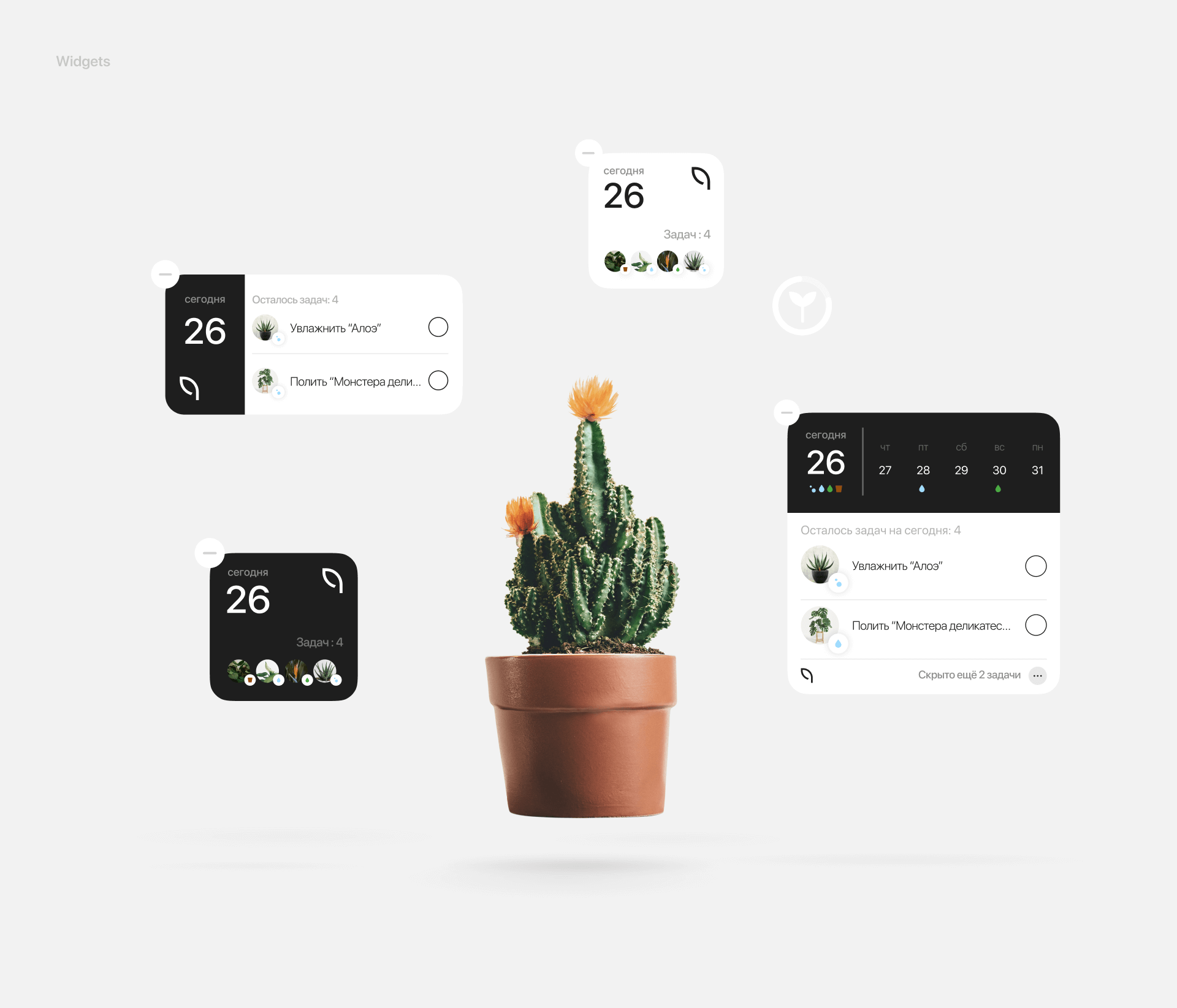 Geek Plants: UI/UX Design for a Plant Care App — Изображение №19 — Интерфейсы на Dprofile