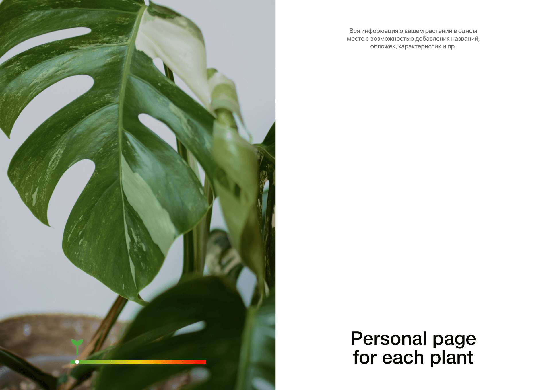 Geek Plants: UI/UX Design for a Plant Care App — Изображение №16 — Интерфейсы на Dprofile