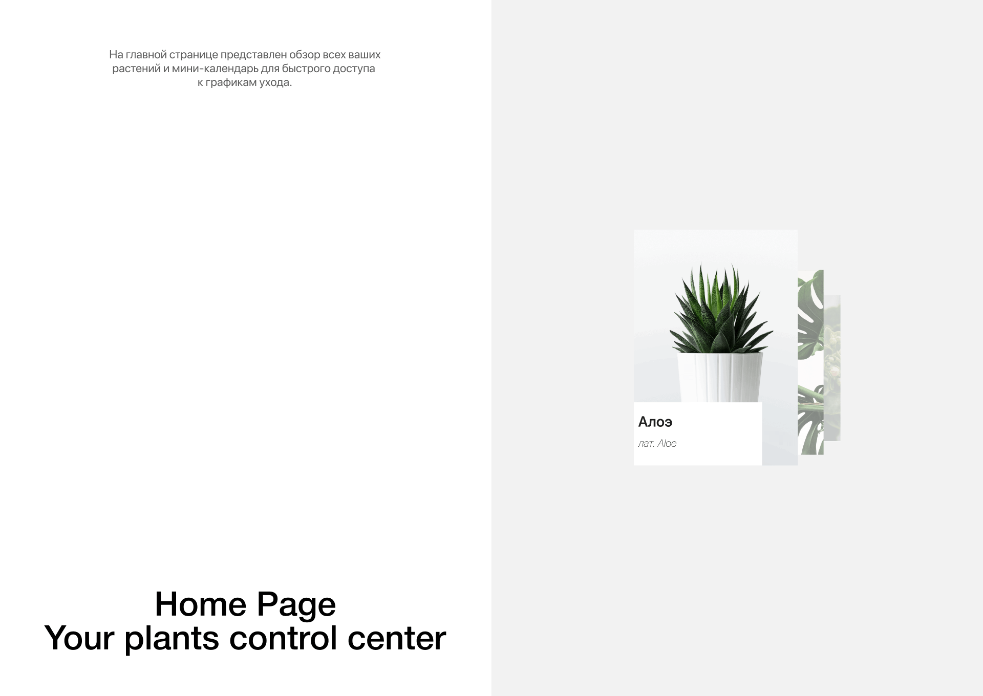 Geek Plants: UI/UX Design for a Plant Care App — Изображение №14 — Интерфейсы на Dprofile