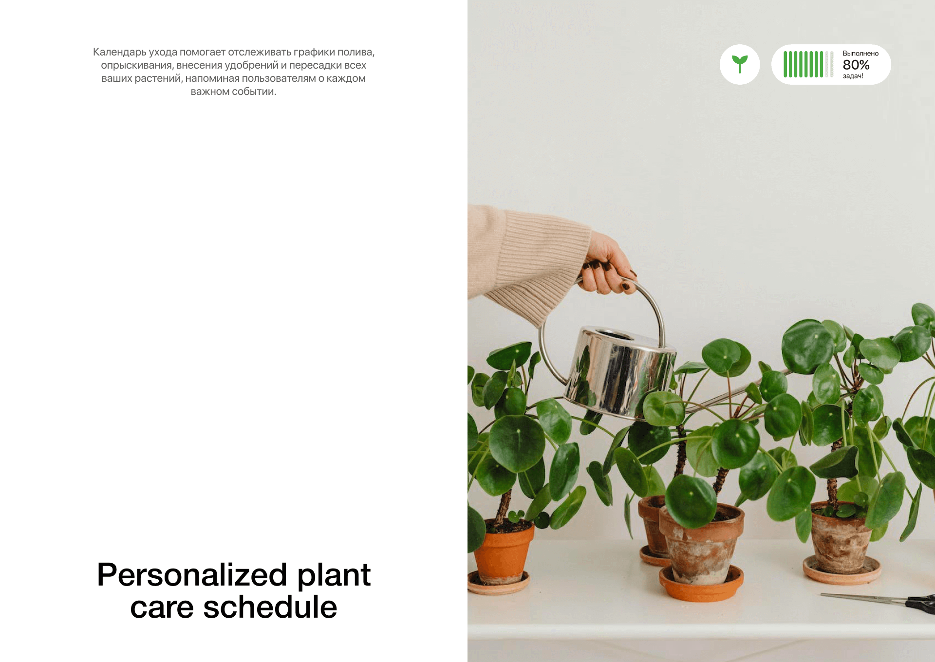 Geek Plants: UI/UX Design for a Plant Care App — Изображение №18 — Интерфейсы на Dprofile