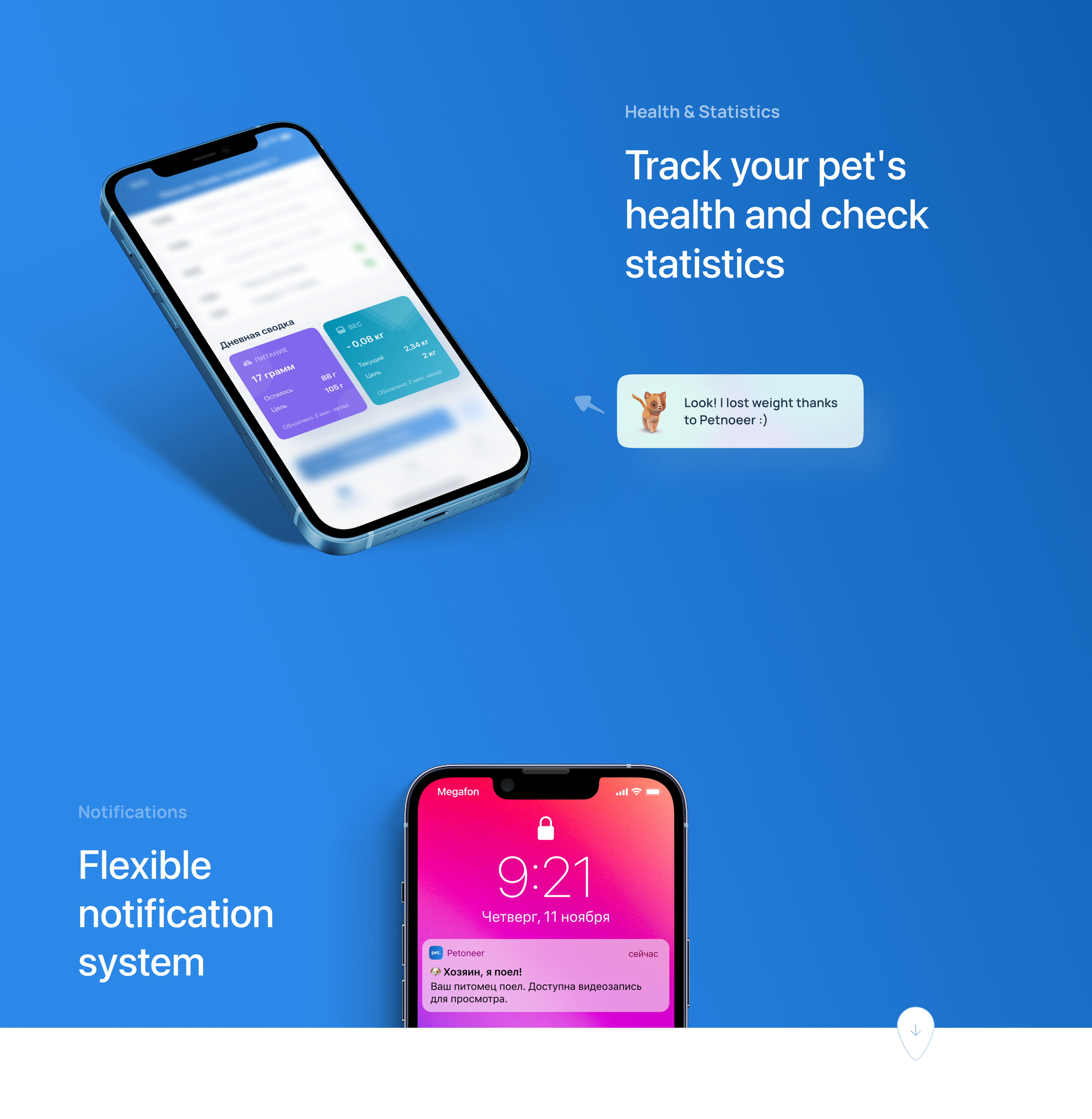 Pet Nutrition App | App design & UX case study — Изображение №14 — Анимация, Интерфейсы на Dprofile