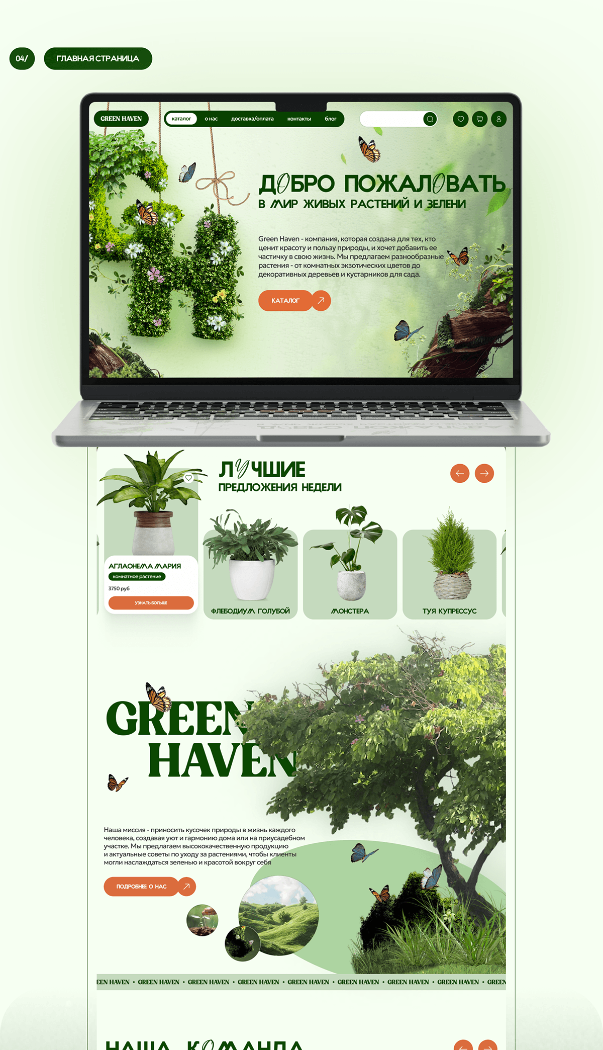 UX/UI design concept | e-commerce "GREEN HAVEN" — Изображение №3 — Интерфейсы на Dprofile