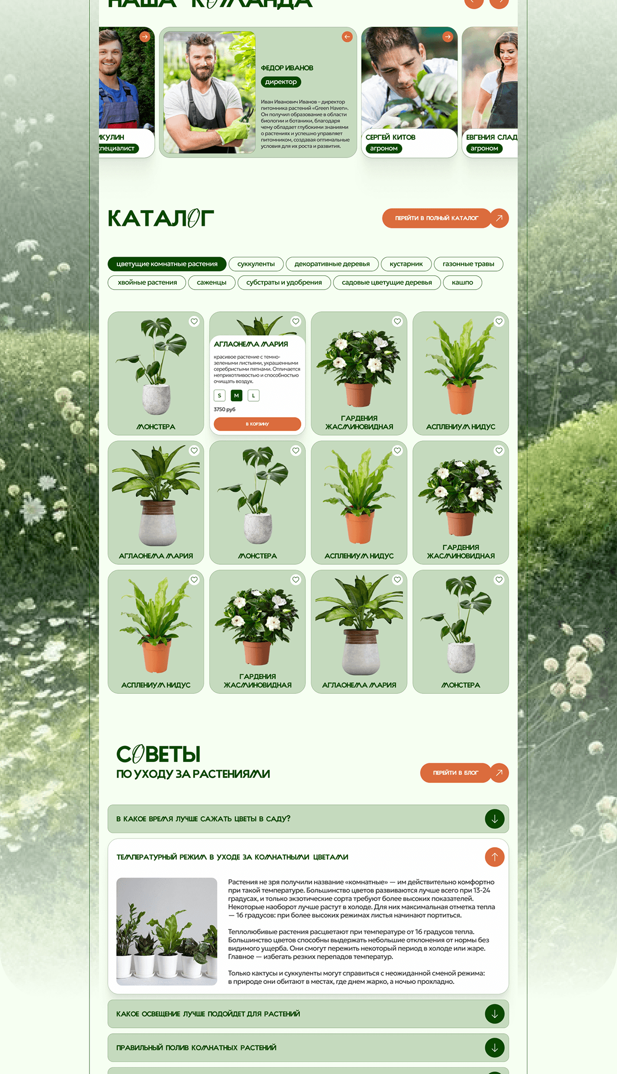 UX/UI design concept | e-commerce "GREEN HAVEN" — Изображение №4 — Интерфейсы на Dprofile