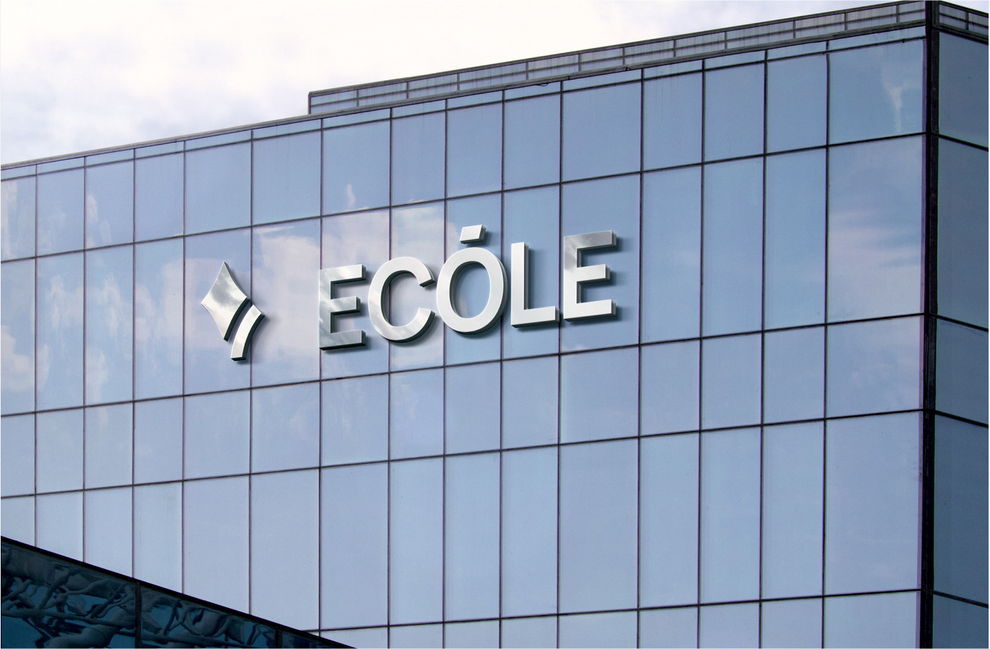 Брендинг учебной платформы ECOLE — Изображение №27 — Брендинг на Dprofile