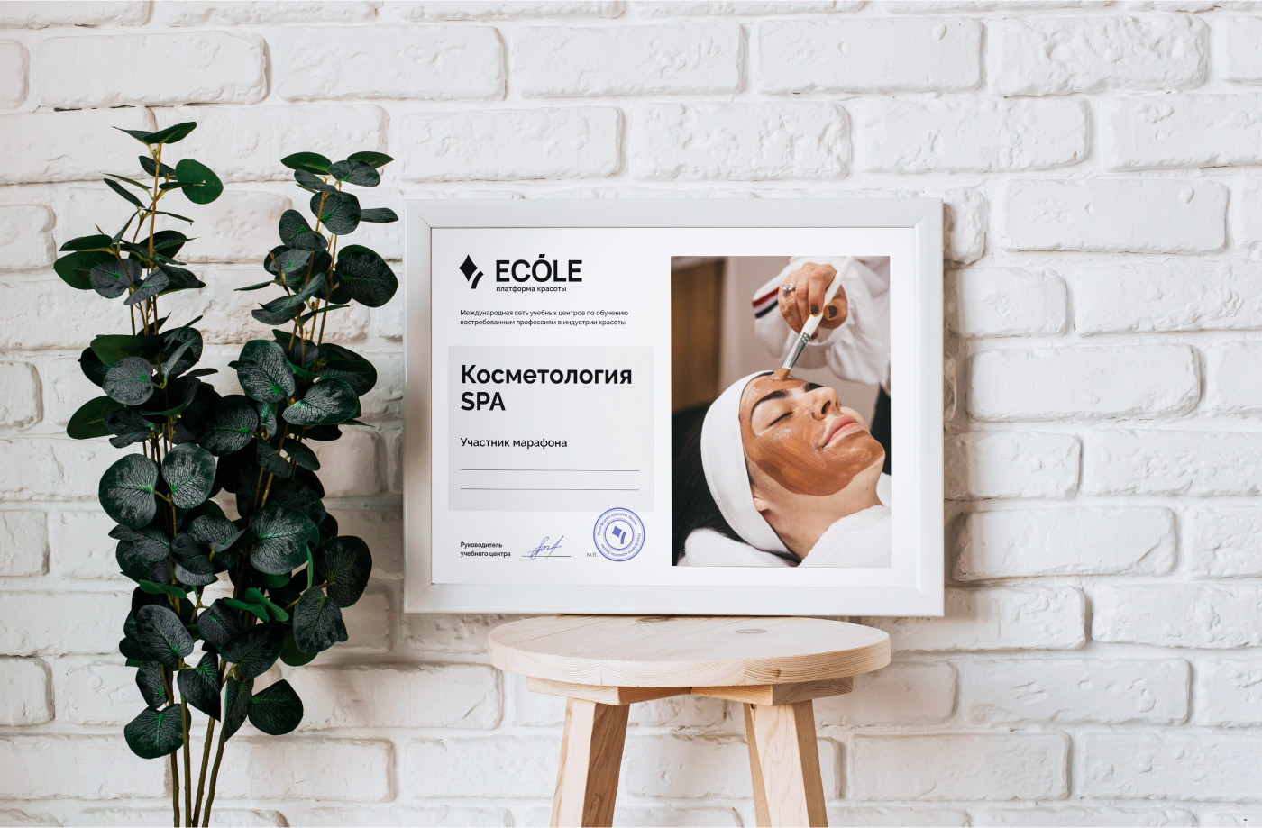 Брендинг учебной платформы ECOLE — Изображение №21 — Брендинг на Dprofile