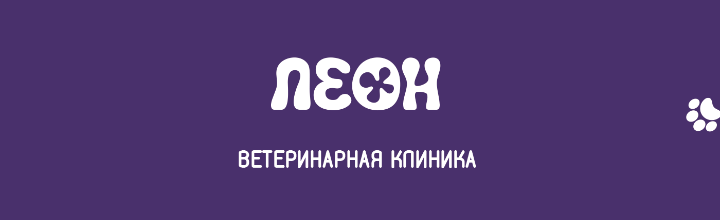 Буклет на 24 полосы | Ветеринарная клиника ЛЕОН — Изображение №2 — Брендинг на Dprofile