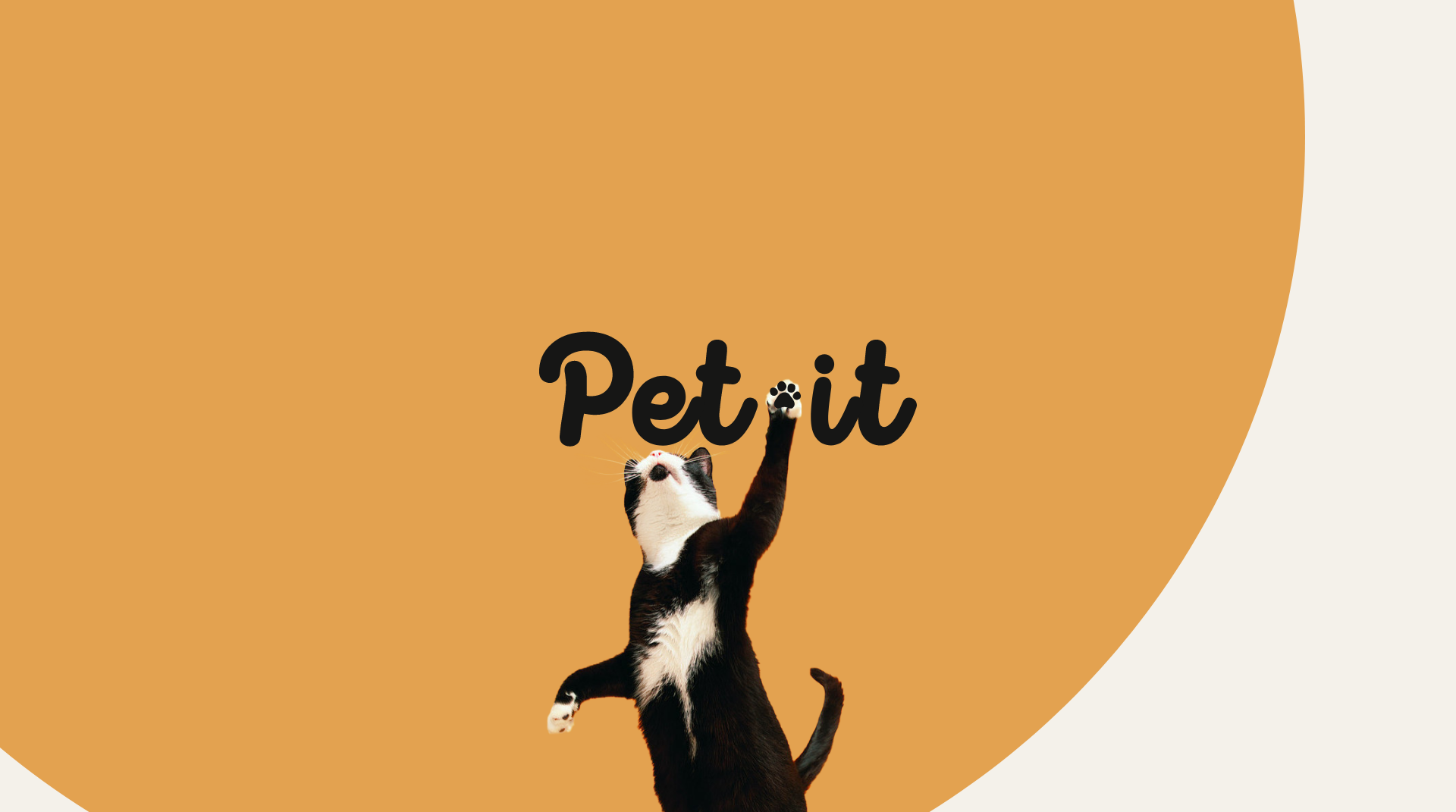 Pet-it — Изображение №11 — Брендинг на Dprofile