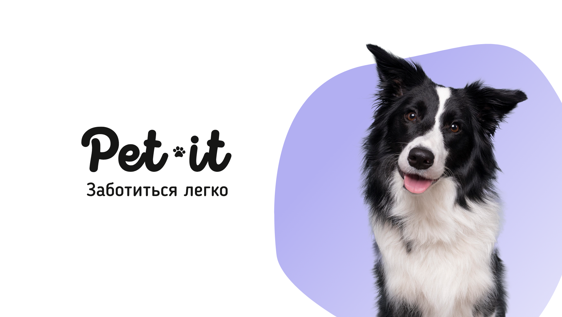 Pet-it — Изображение №1 — Брендинг на Dprofile