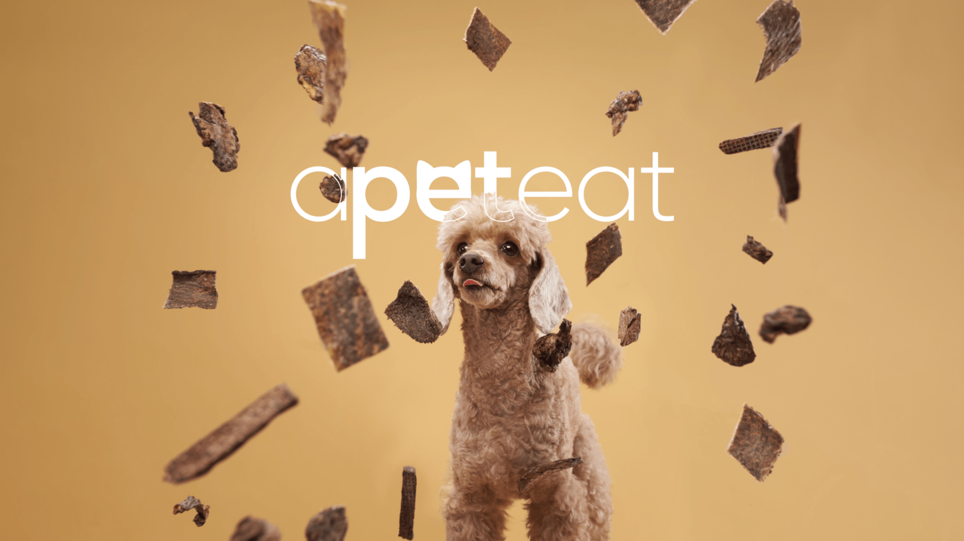 apeteat — Изображение №4 — Брендинг на Dprofile