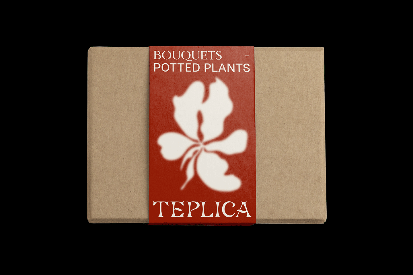 TEPLICA — Изображение №1 — Брендинг на Dprofile