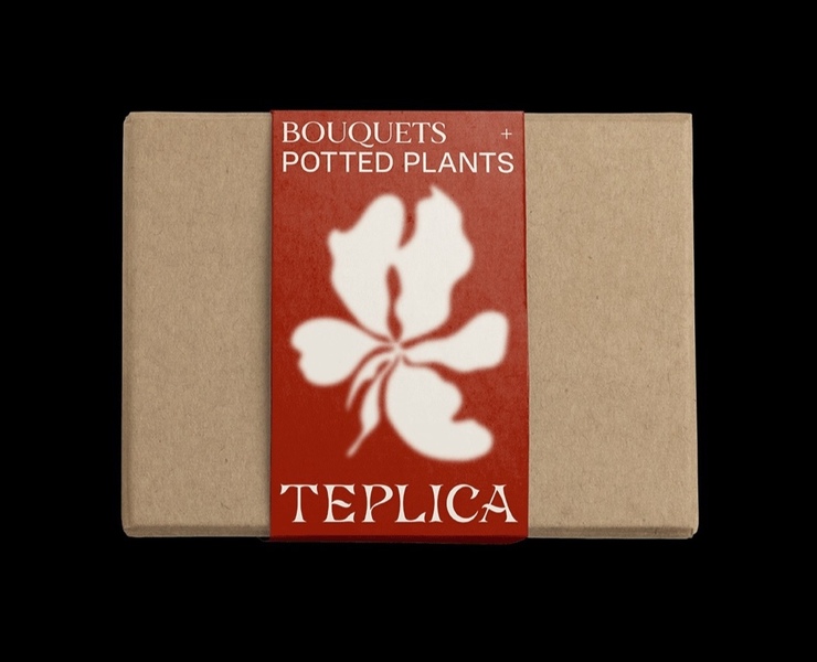 TEPLICA — Брендинг на Dprofile