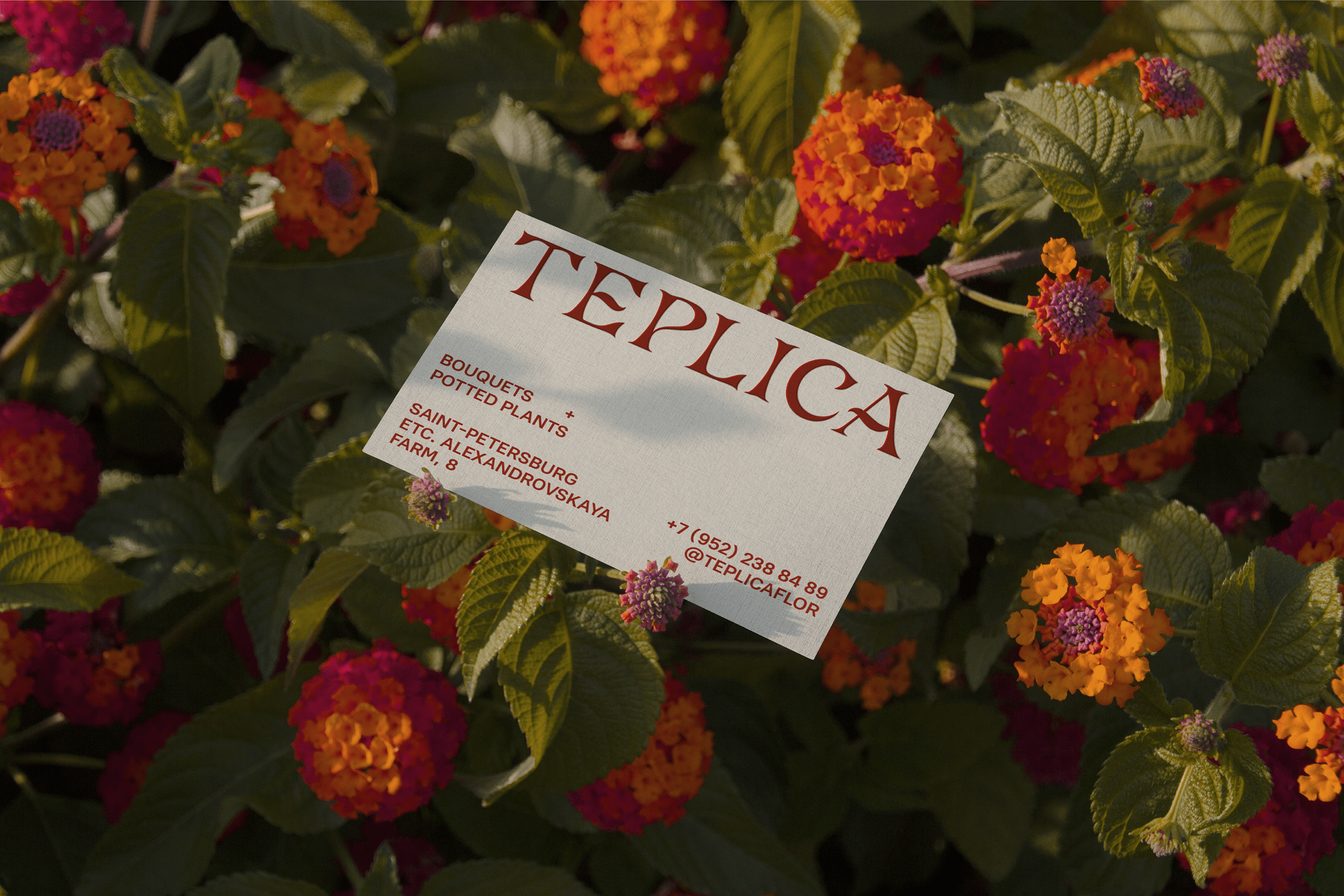 TEPLICA — Изображение №4 — Брендинг на Dprofile