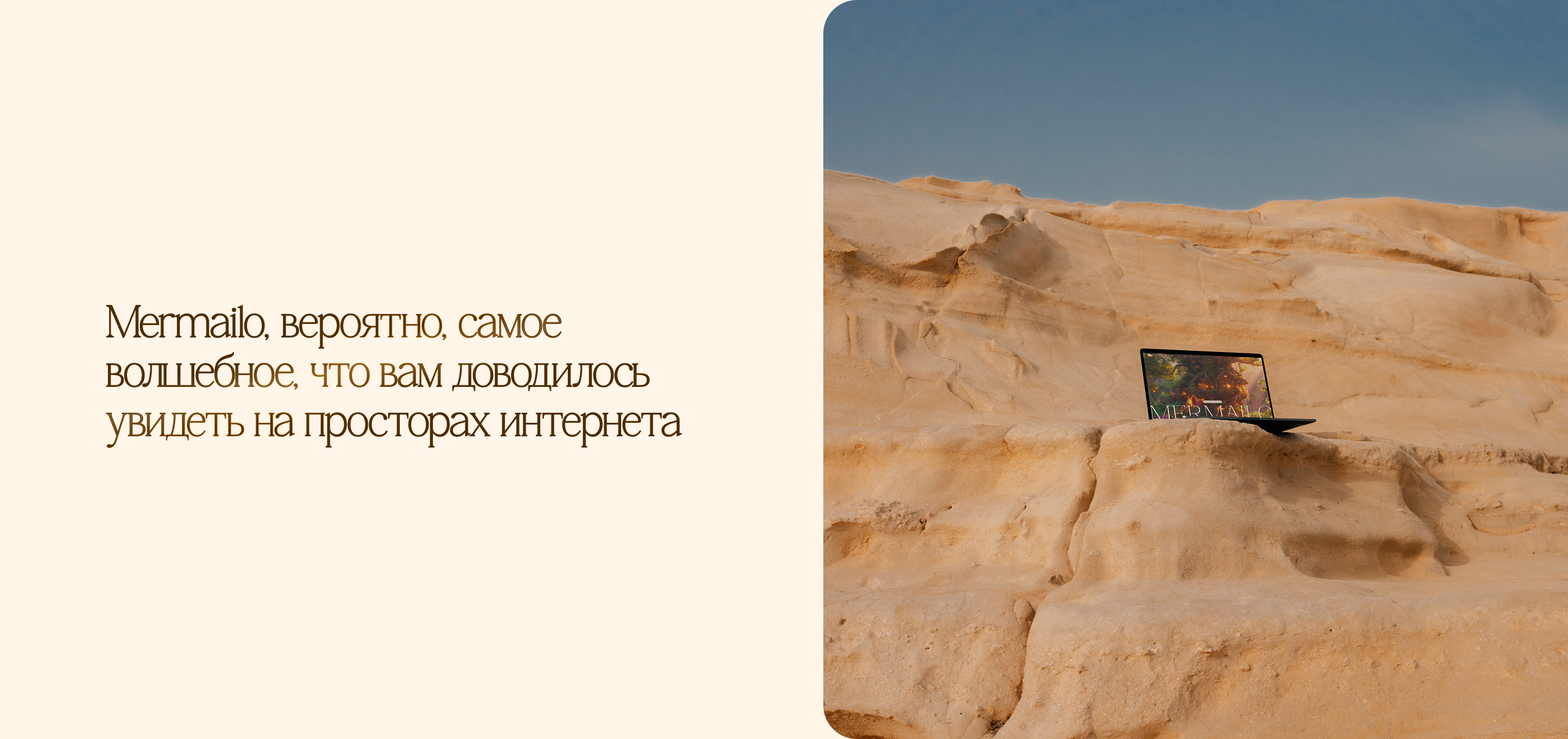 MERMAILO | ДИЗАЙН САЙТА |ИНТЕРНЕТ МАГАЗИН — Изображение №6 — Интерфейсы, Брендинг на Dprofile