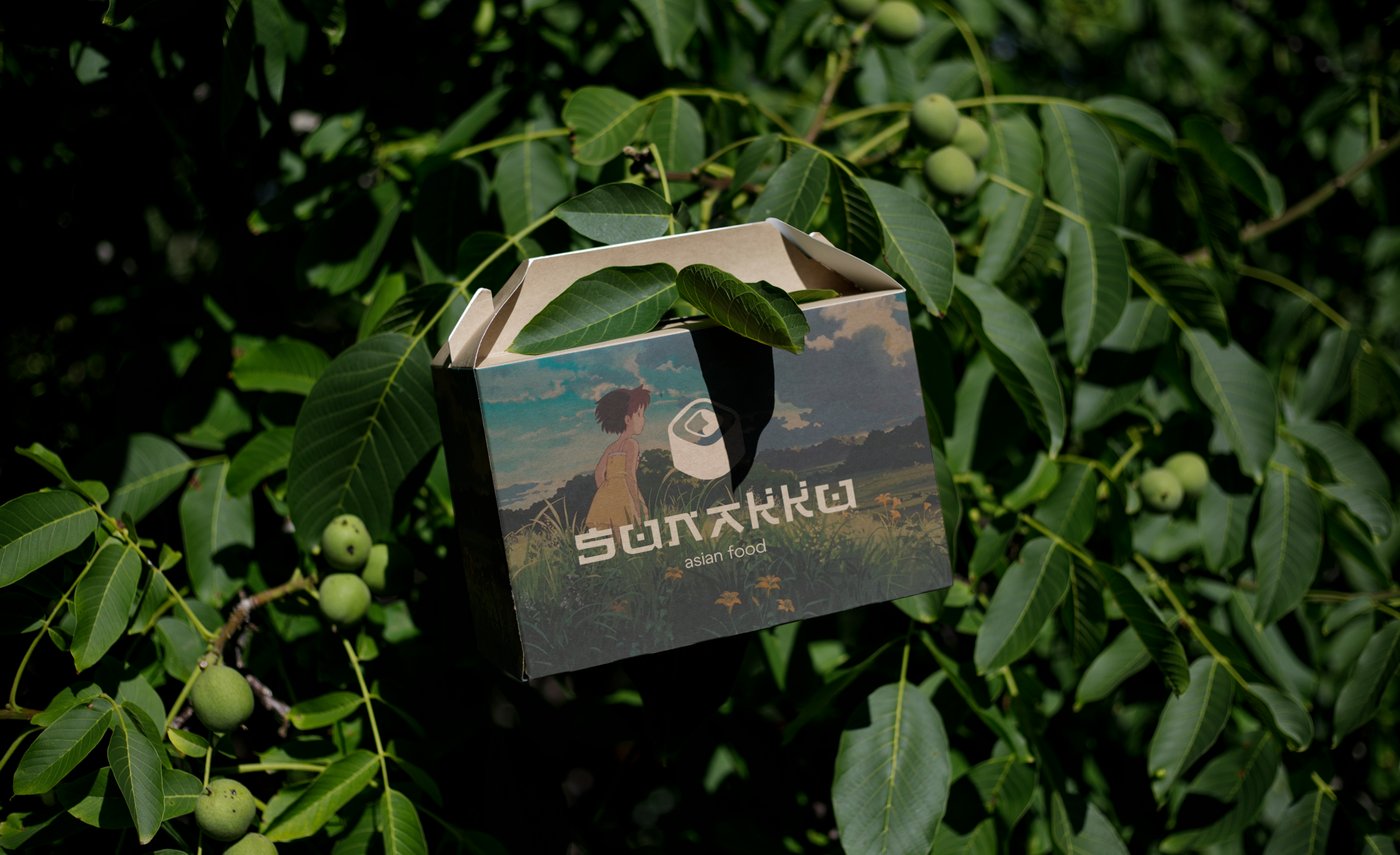 SUNAKKU | LOGO DESIGN | BRAND IDENTITY — Изображение №1 — Брендинг на Dprofile