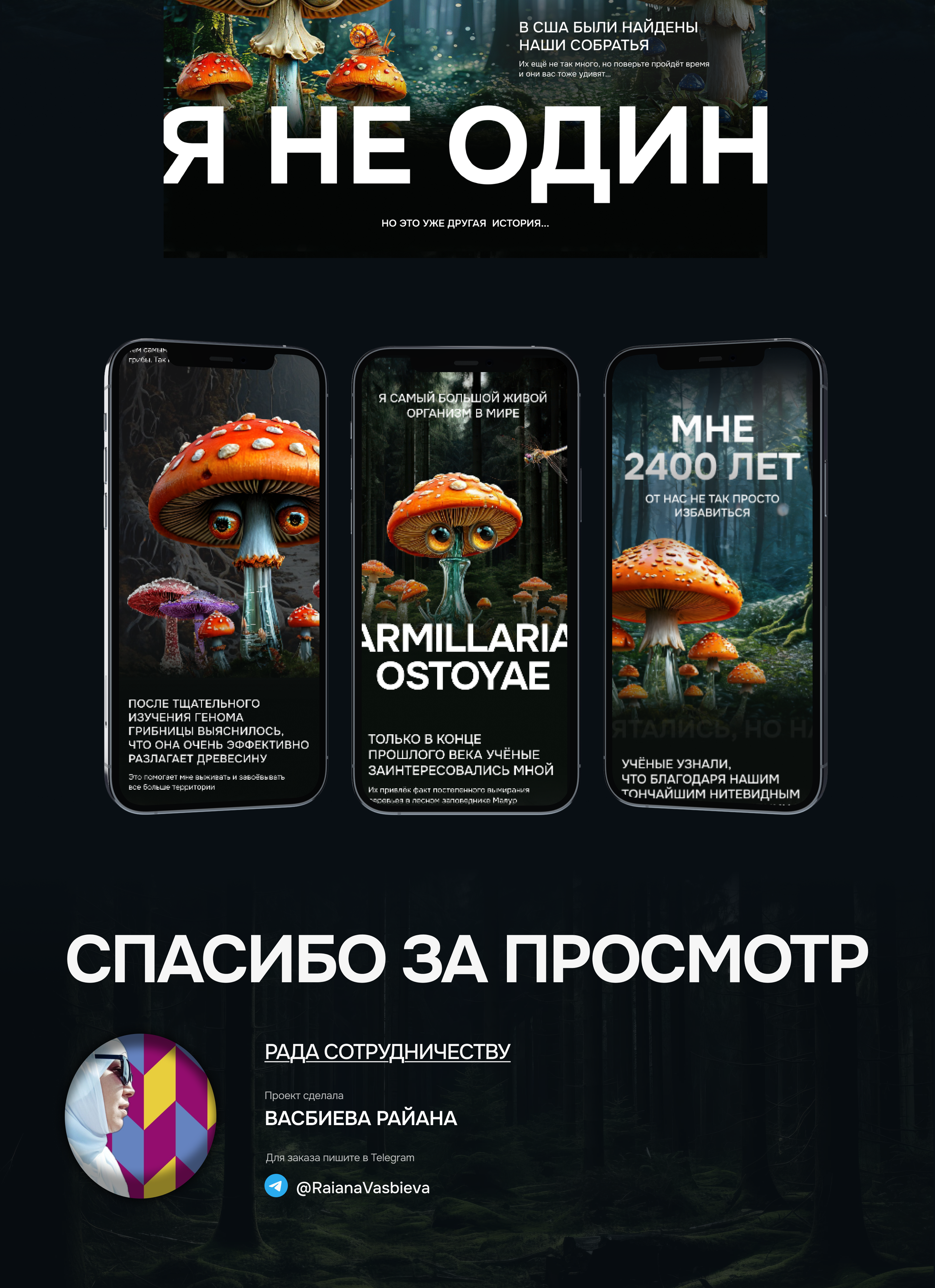 Дизайн батл Armillaria Ostoyae — Изображение №4 — Интерфейсы, Анимация на Dprofile