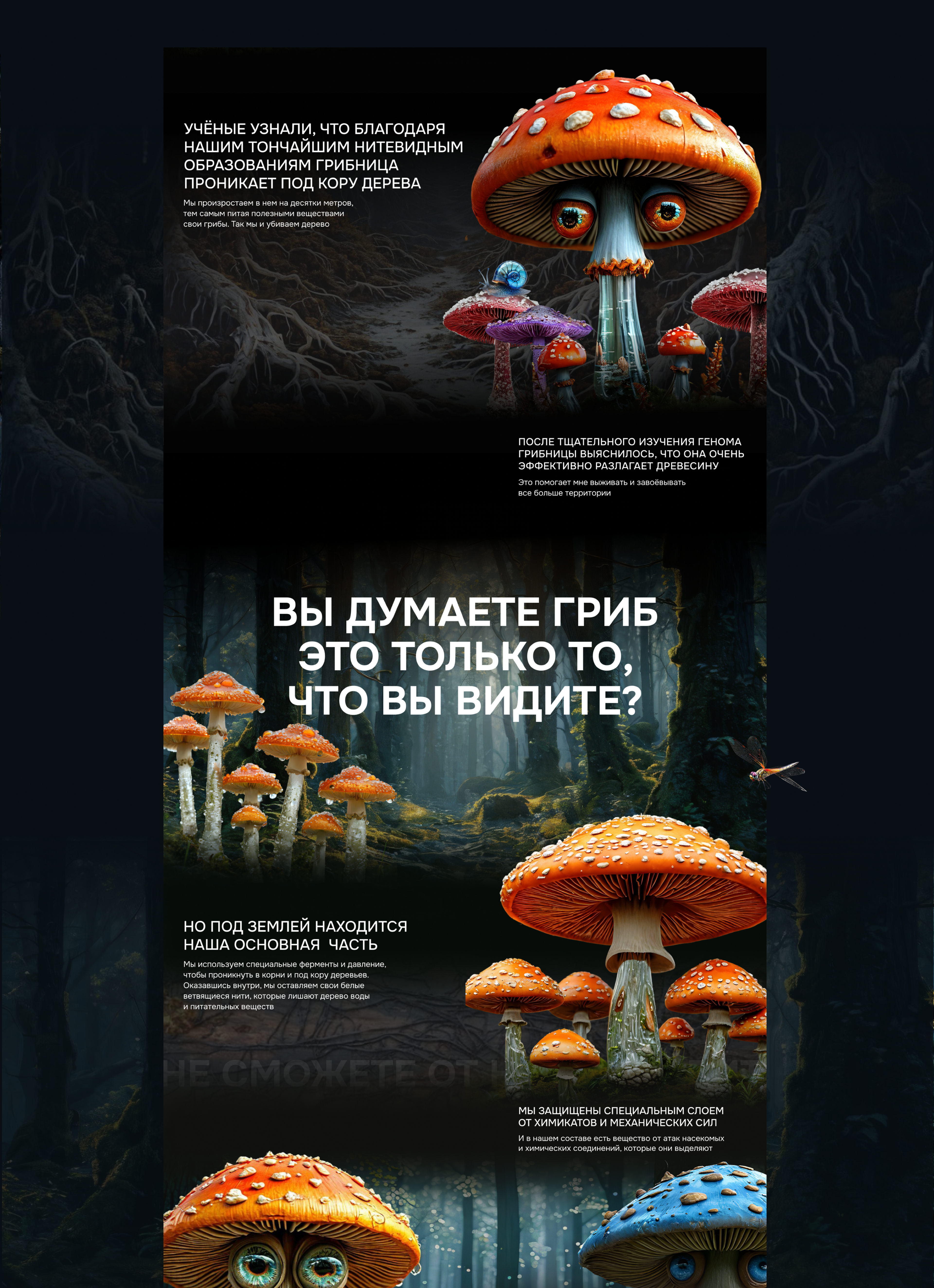 Дизайн батл Armillaria Ostoyae — Изображение №3 — Интерфейсы, Анимация на Dprofile