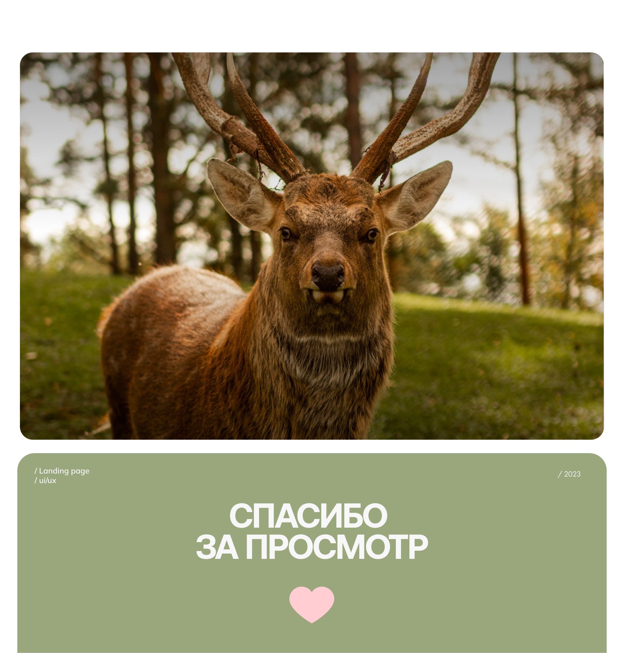 Эко-клуб | Landing Page — Изображение №7 — Интерфейсы на Dprofile