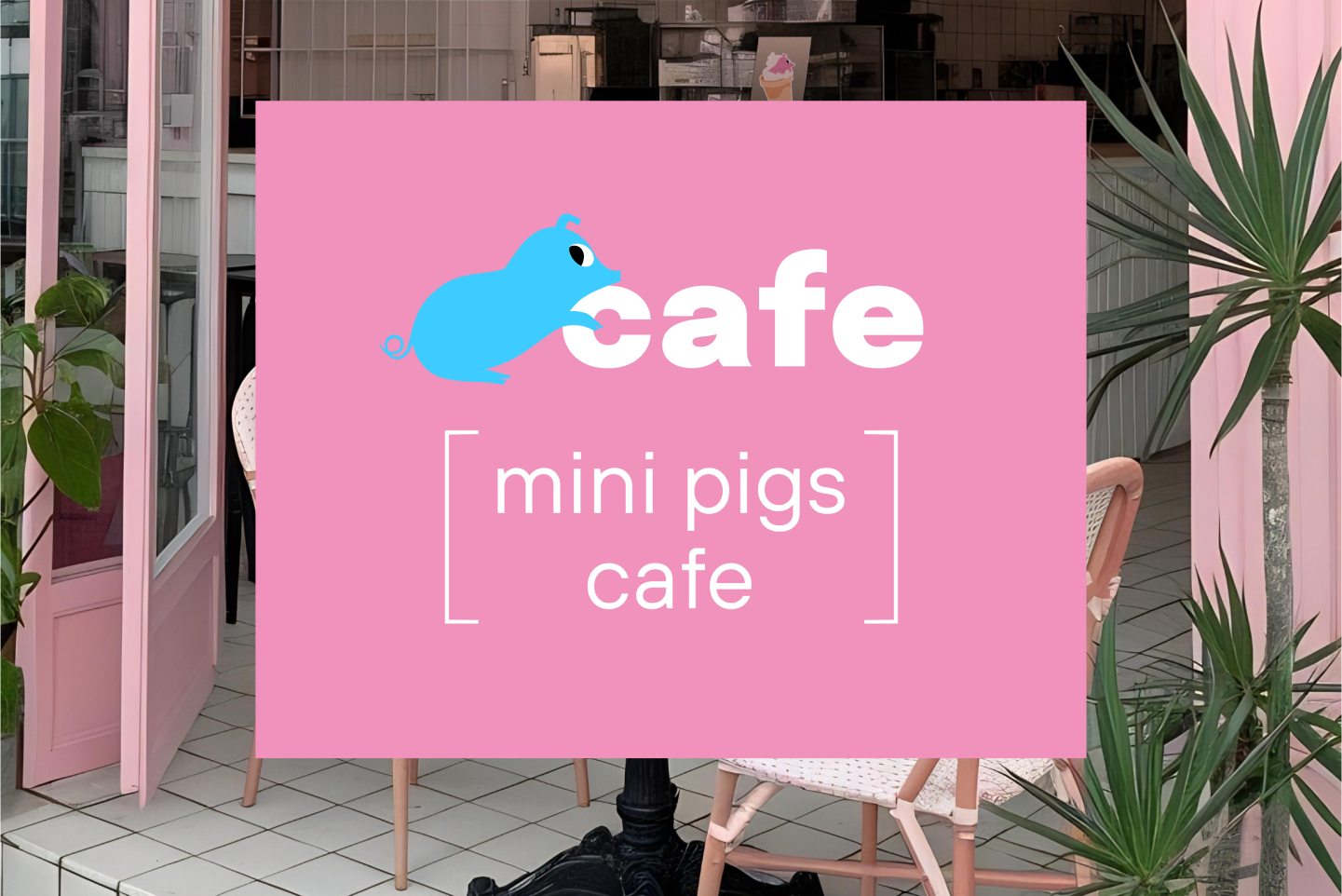 Mini pigs cafe — Изображение №2 — Брендинг на Dprofile