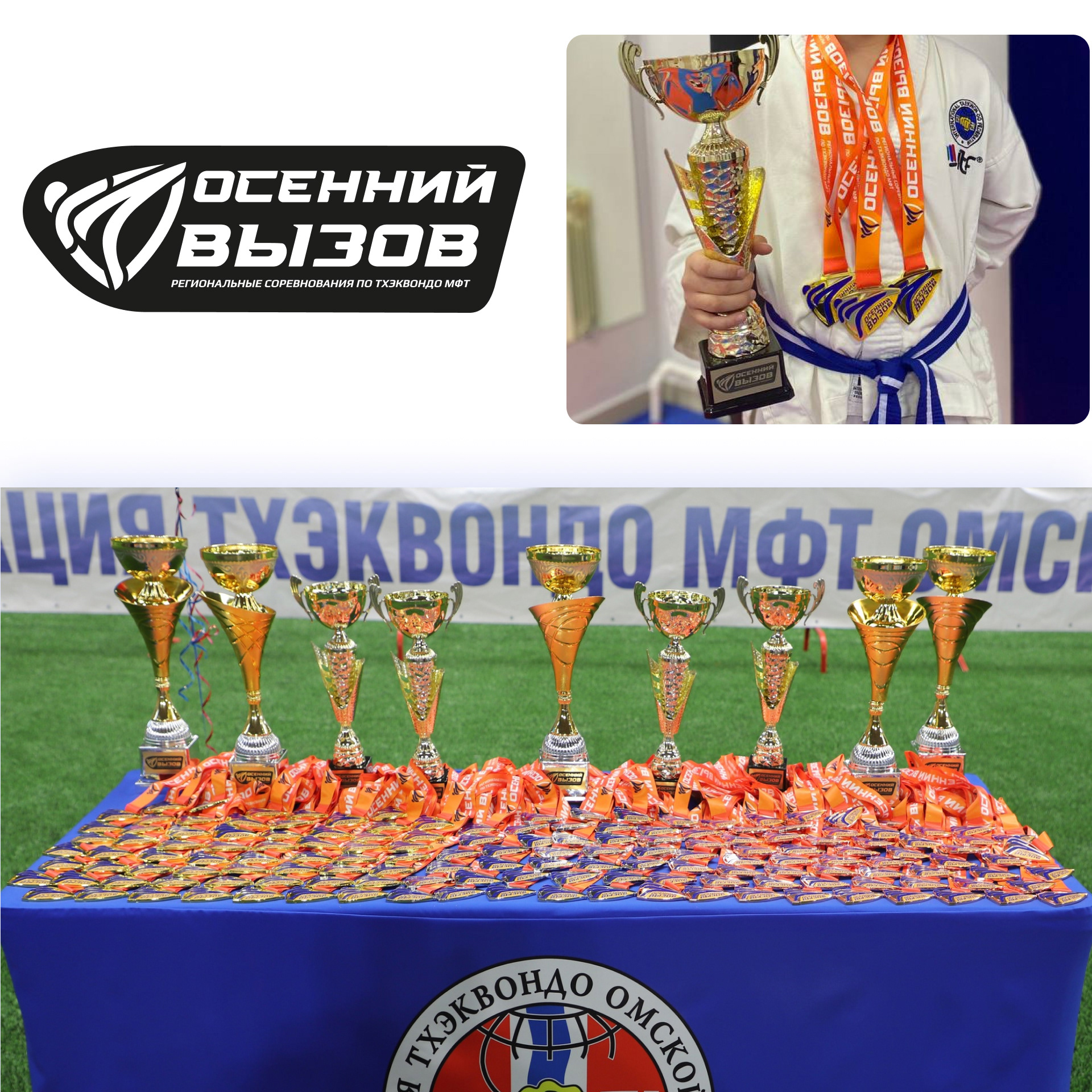 Осенний Вызов — айдентика турнира по тхэквондо — Изображение №9 — Брендинг на Dprofile