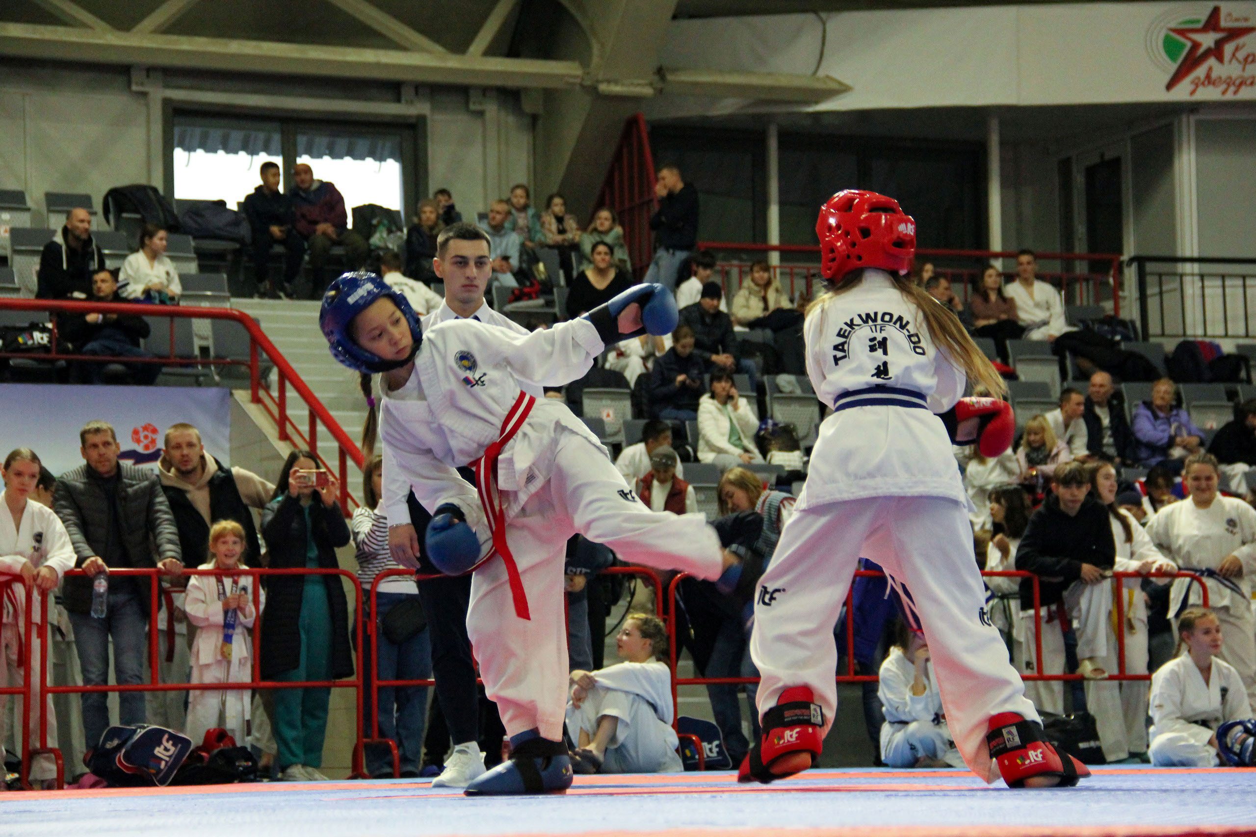 Дизайн мероприятия • ЧиП Чемпионат и первенство — Изображение №12 — Брендинг на Dprofile