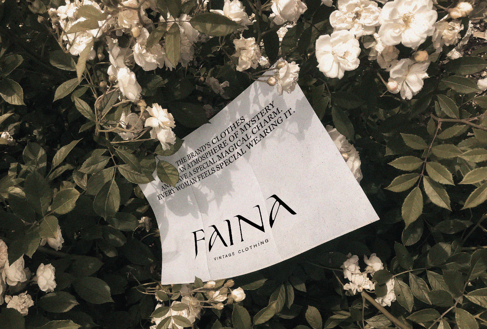 FAINA | VINTAGE CLOTHING | ЛОГОТИП | ФИРМЕННЫЙ СТИЛЬ — Изображение №15 — Брендинг на Dprofile