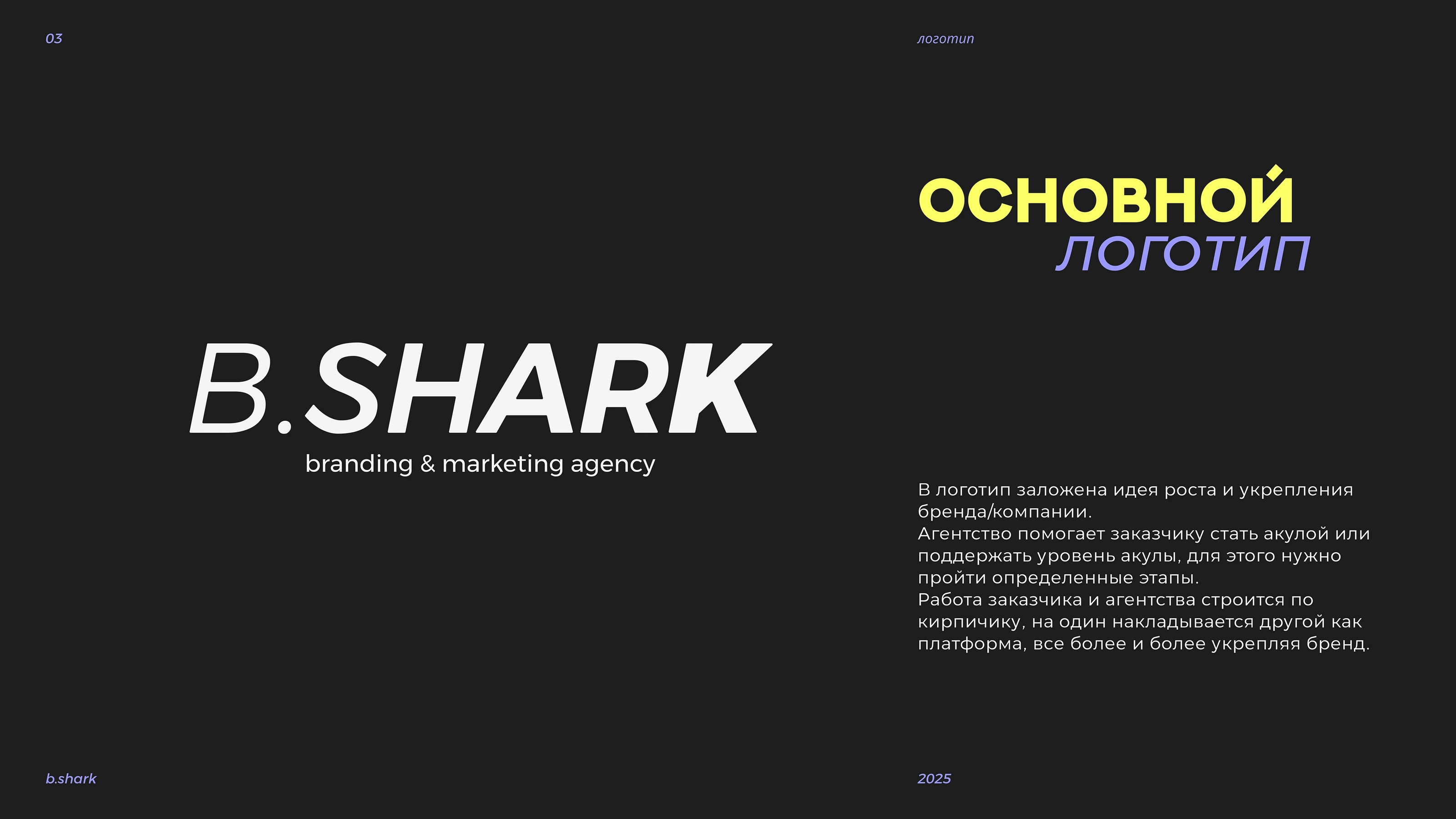 B.Shark/ Фирменный стиль / Социальные сети — Изображение №3 — Брендинг на Dprofile