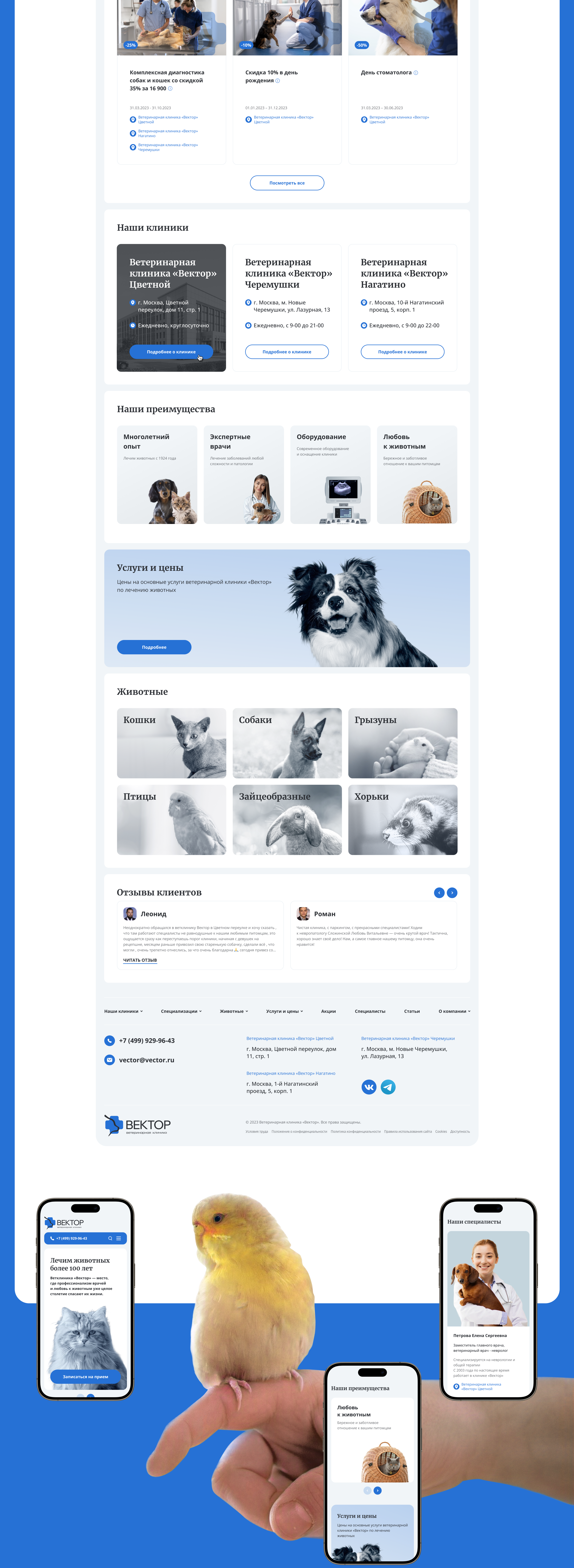 Вектор | Ветеринарная клиника — Изображение №2 — Интерфейсы на Dprofile