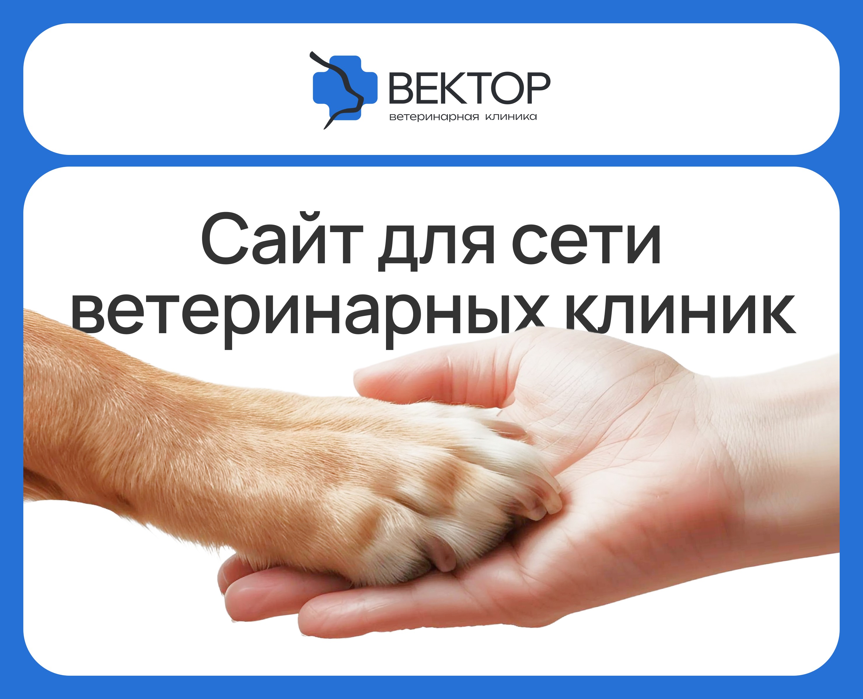 Вектор | Ветеринарная клиника на Dprofile