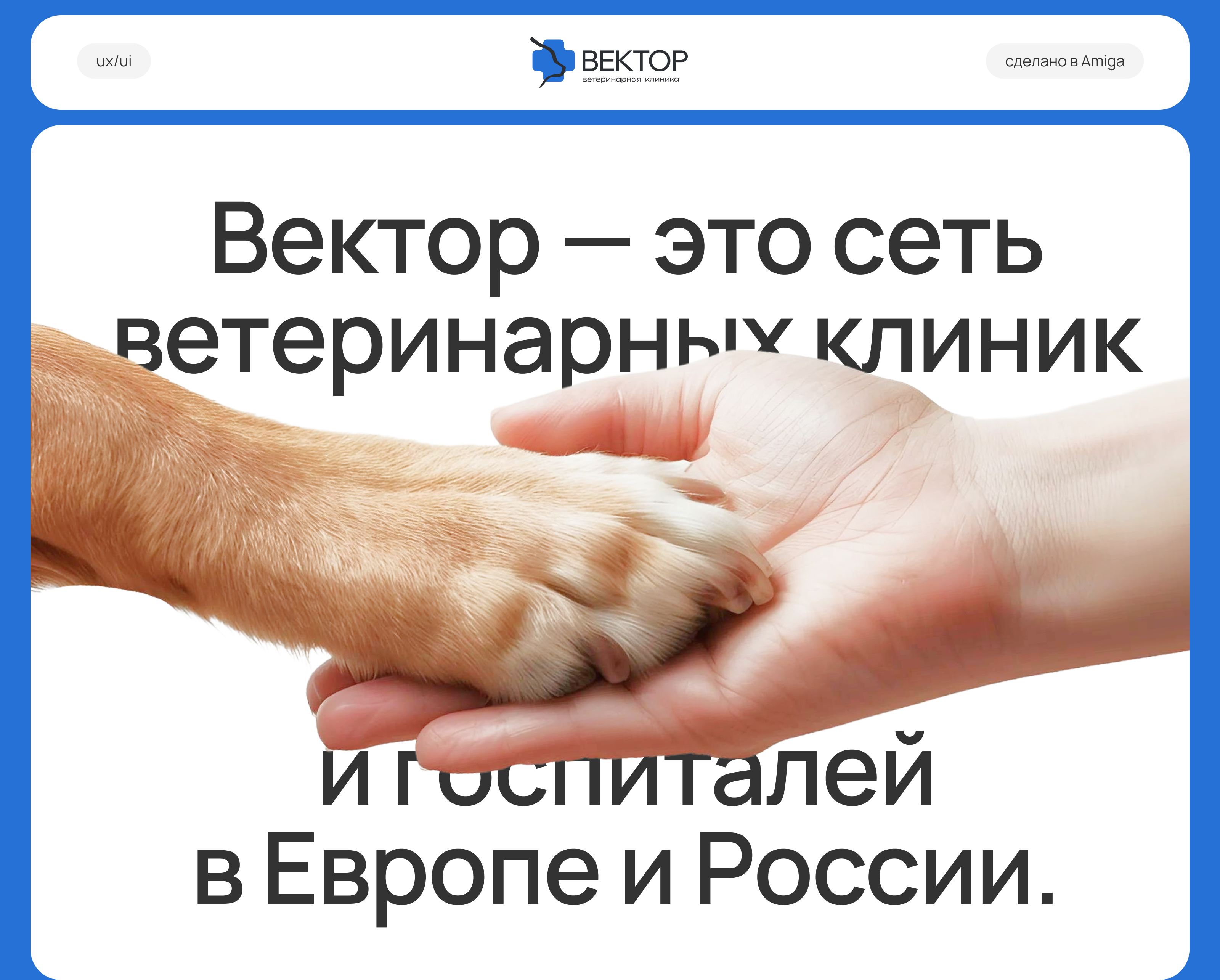 Вектор | Ветеринарная клиника — Изображение №1 — Интерфейсы на Dprofile