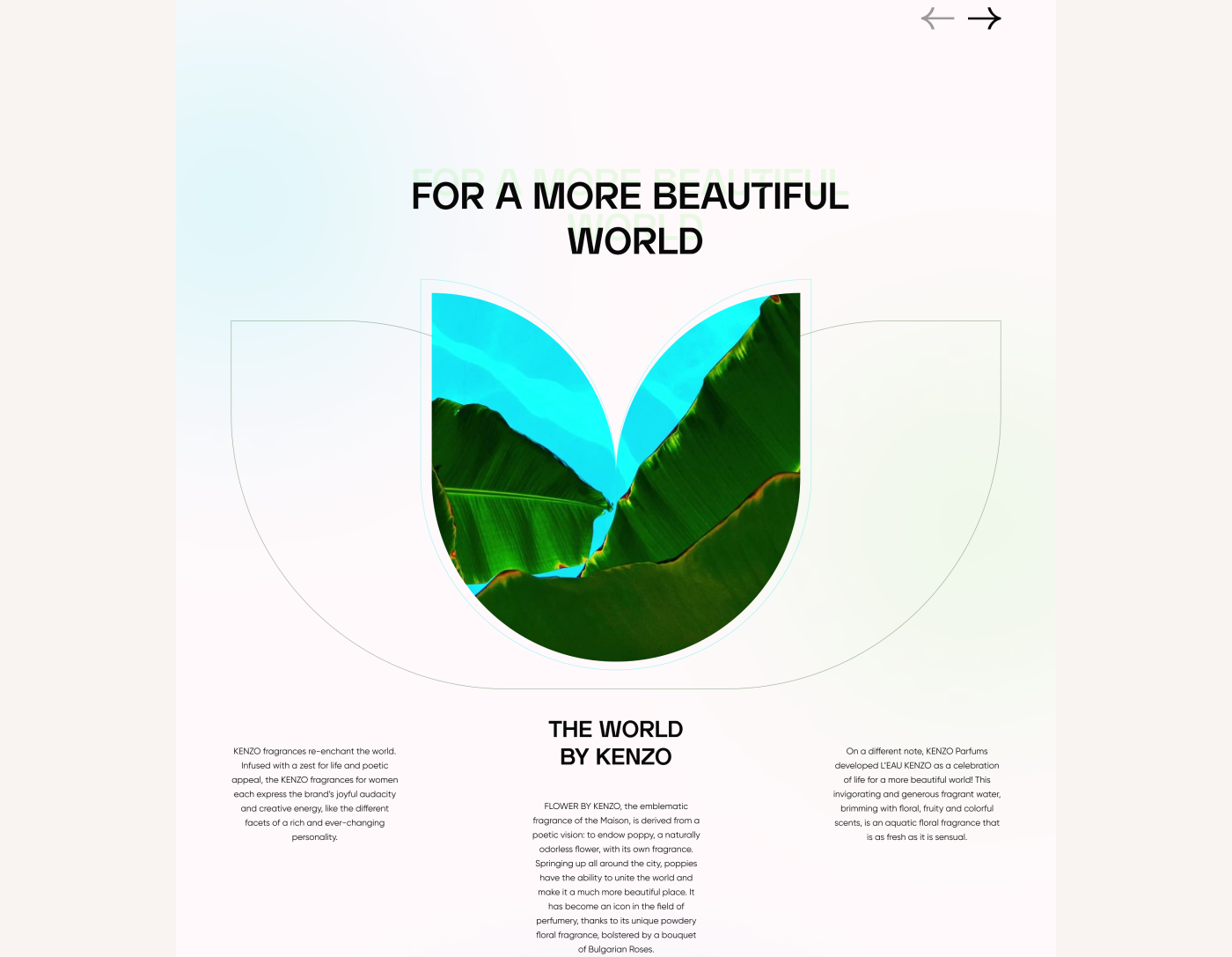 Kenzo Parfums Website Redesign Concept — Изображение №31 — Интерфейсы на Dprofile