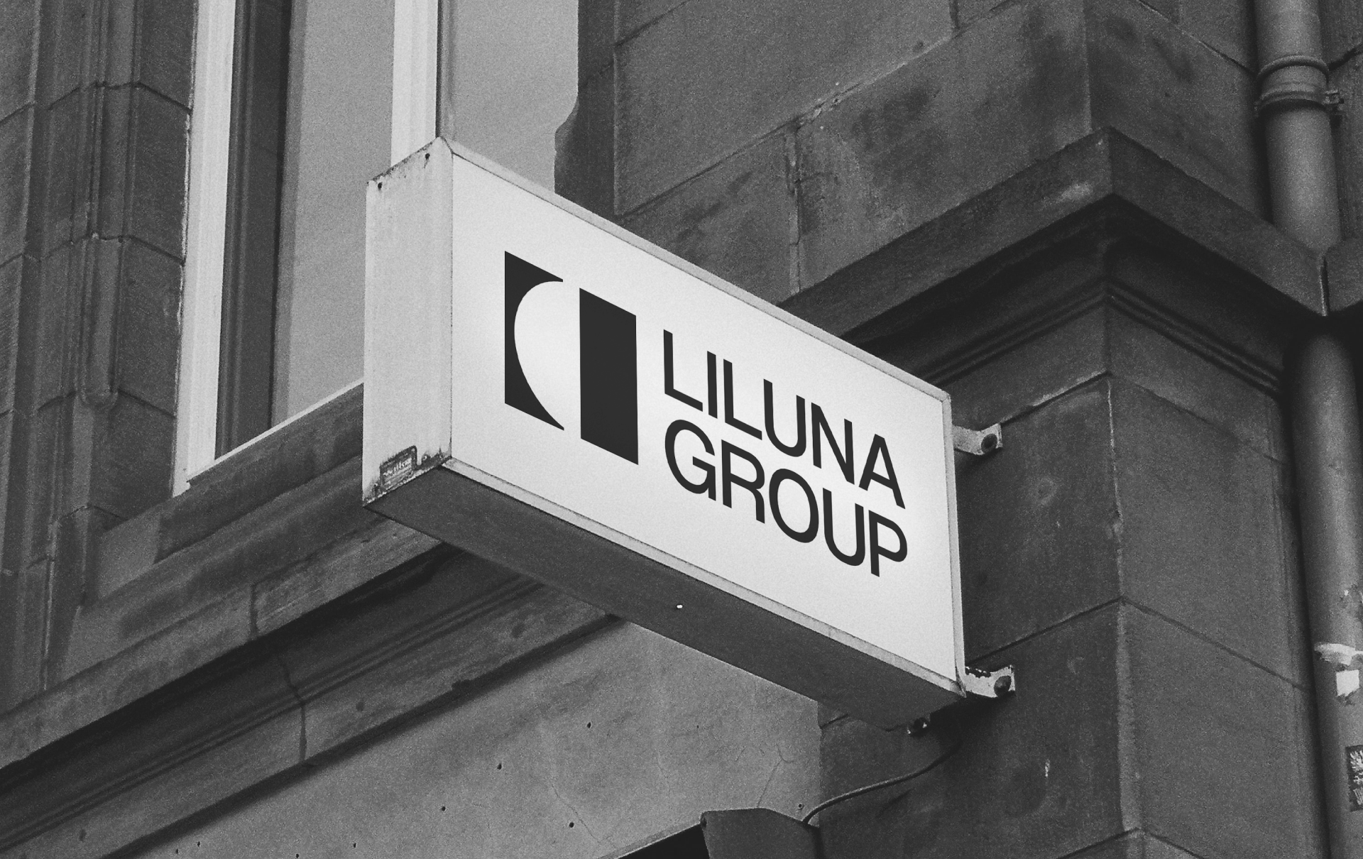 Liluna Group — Изображение №5 — Брендинг на Dprofile