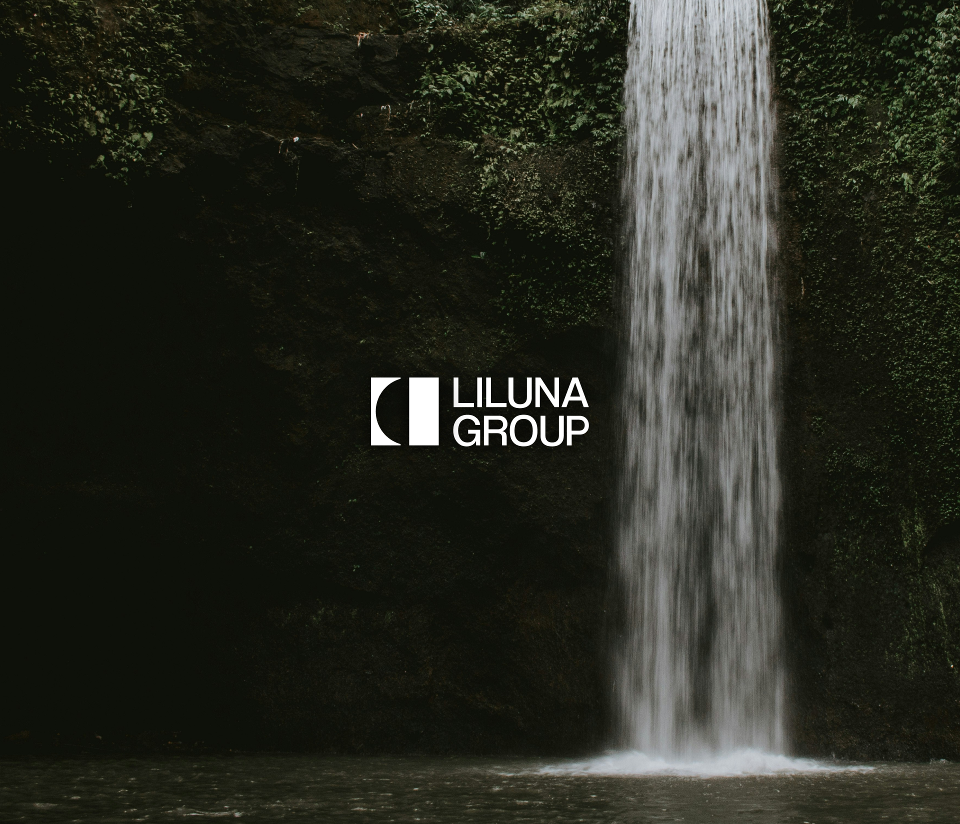 Liluna Group — Изображение №3 — Брендинг на Dprofile