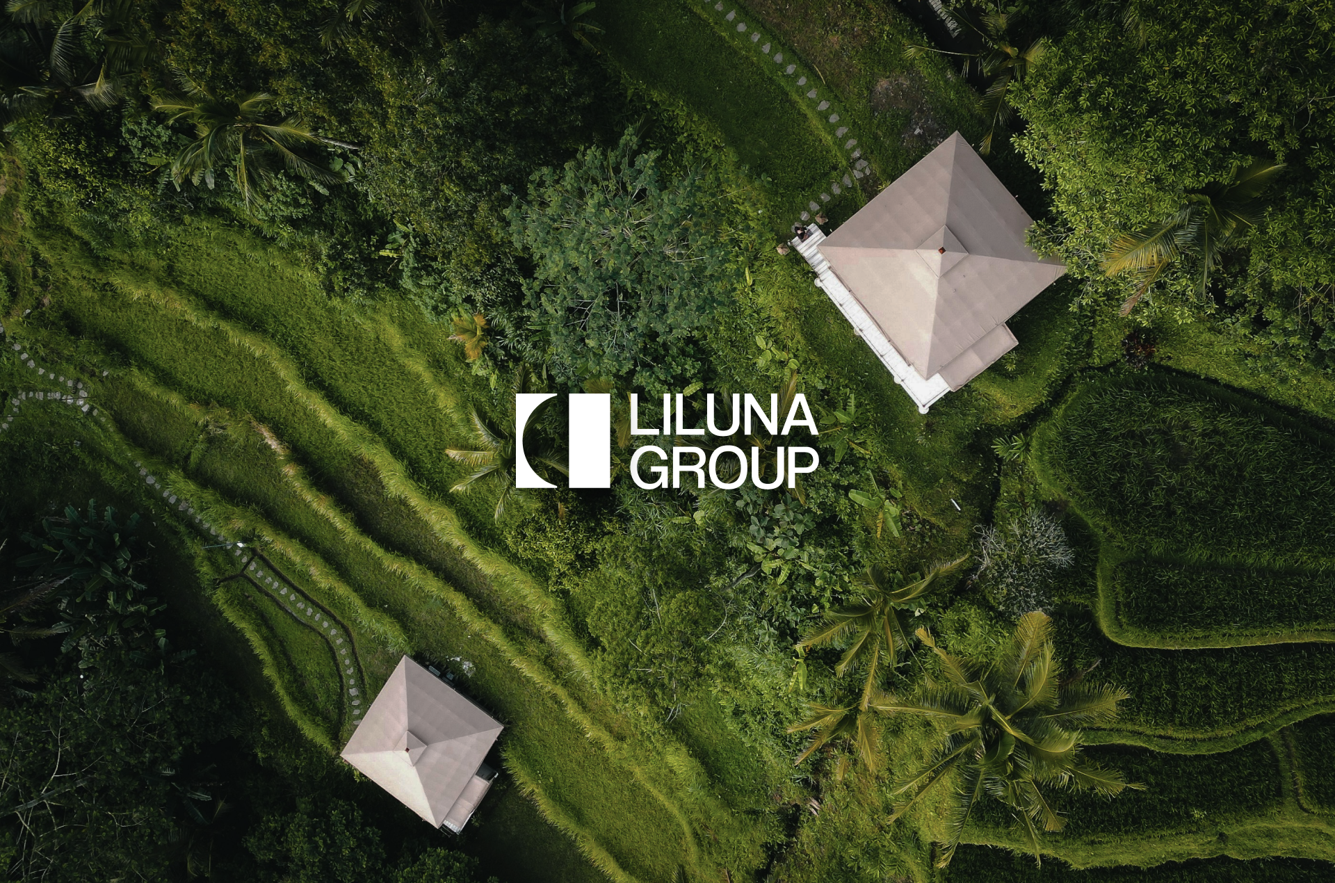 Liluna Group — Изображение №1 — Брендинг на Dprofile