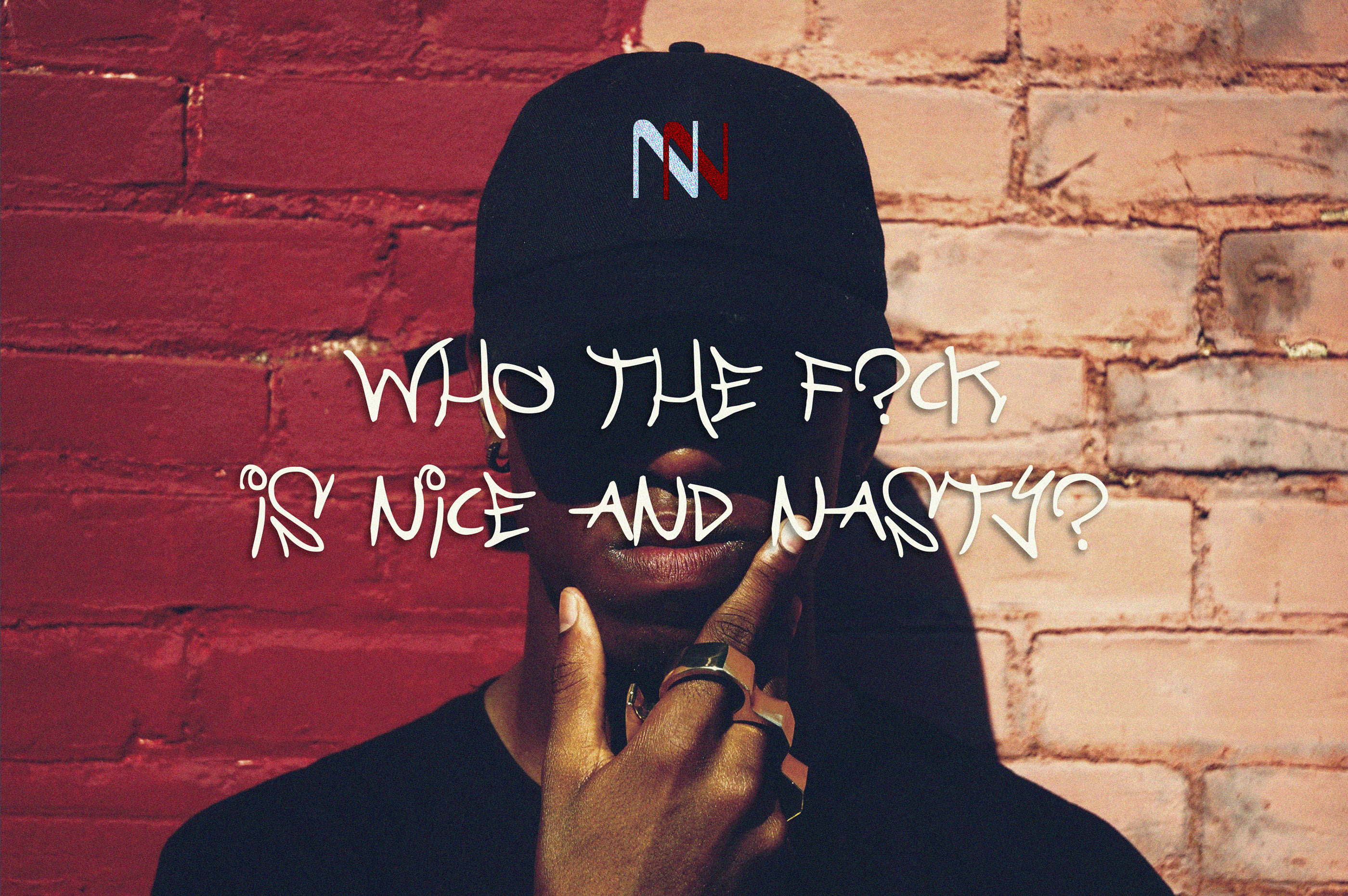 Nice and Nasty · Фирменный стиль — Изображение №2 — Брендинг, Графика на Dprofile