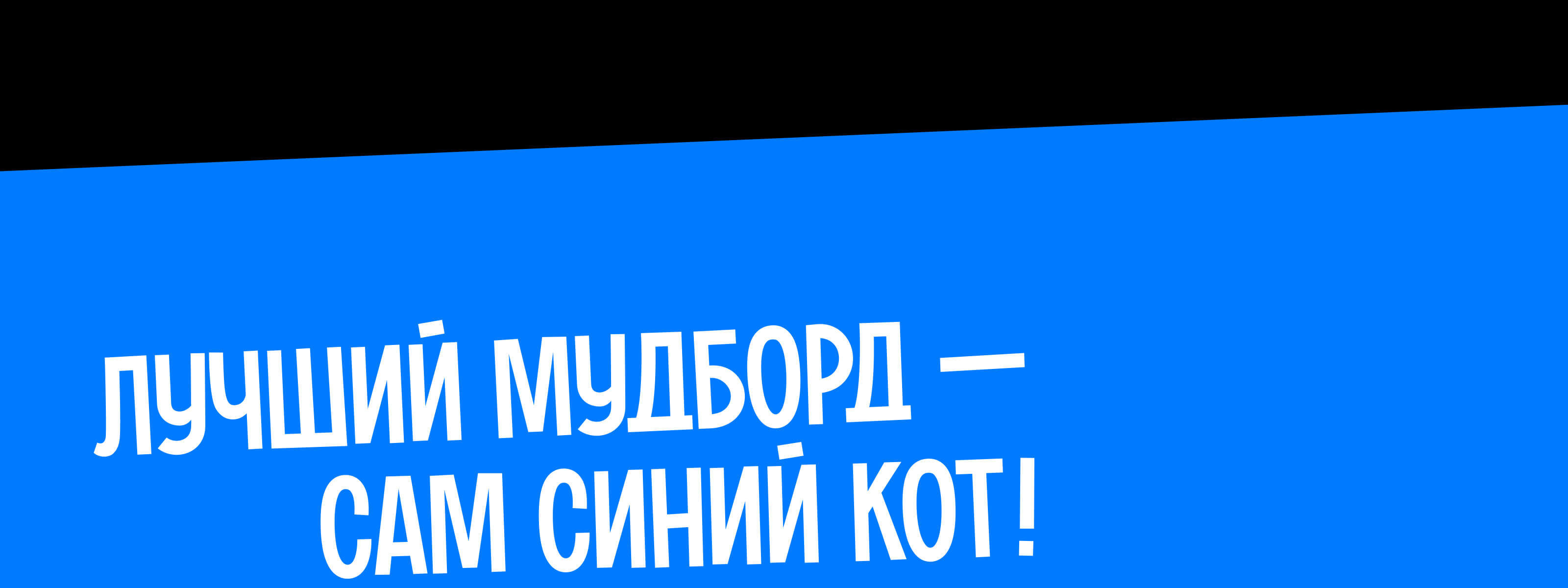 Синий Кот | Ивент-бар — Изображение №3 — Брендинг, Графика на Dprofile