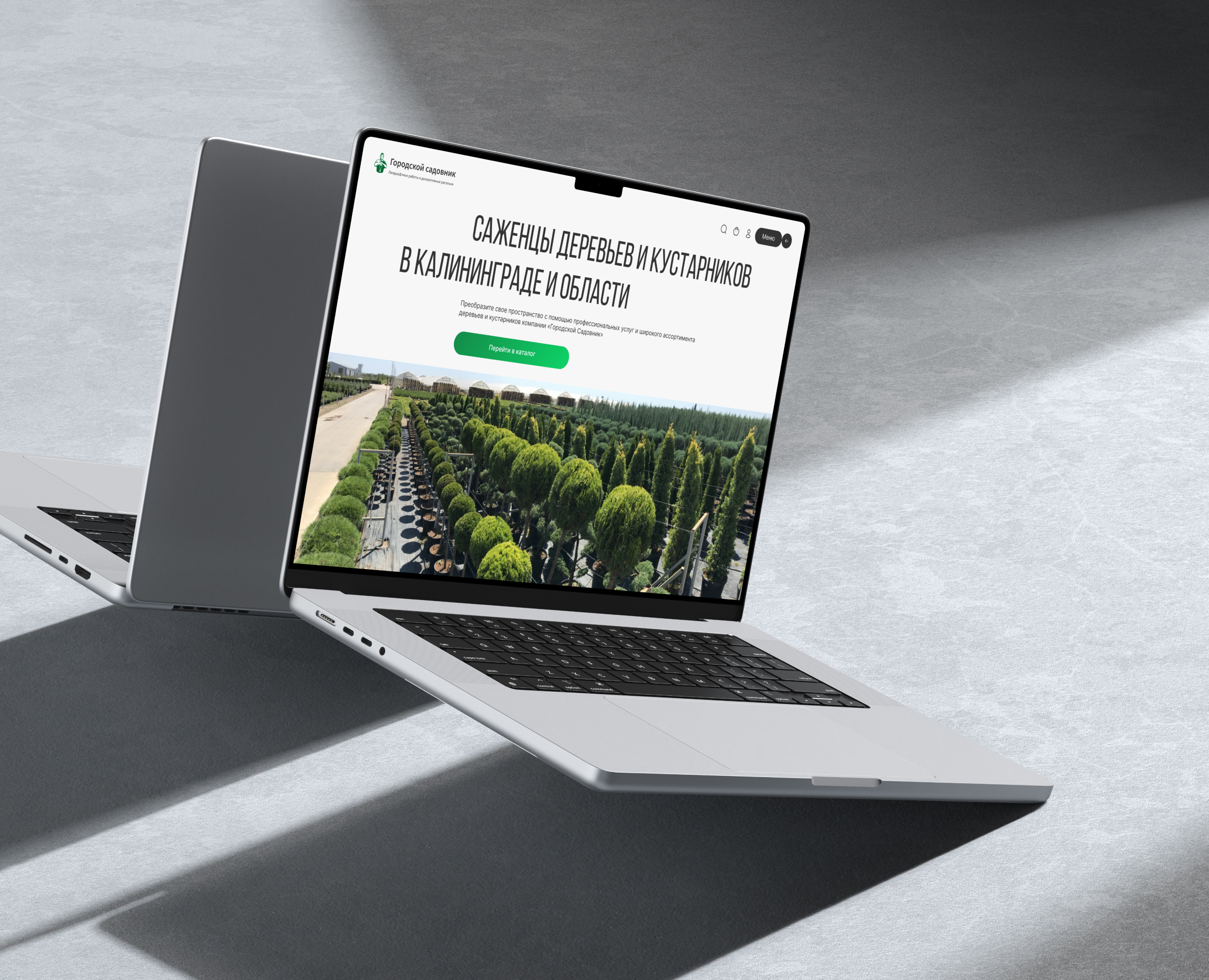 Gorsad - Ландшафтные работы и декоративные растения — Интерфейсы на Dprofile