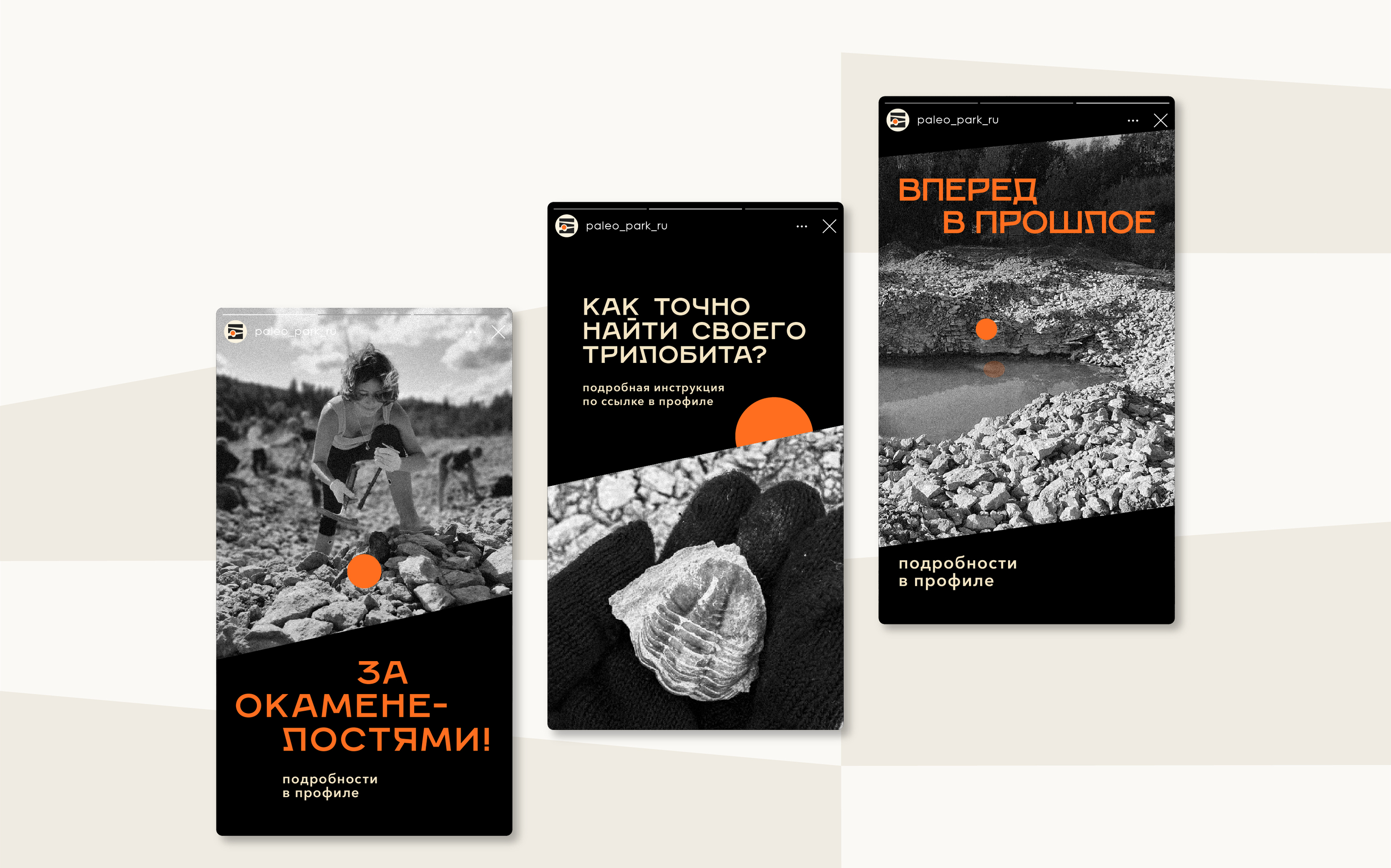 Палеопарк России | Айдентика — Изображение №18 — Брендинг, Графика на Dprofile