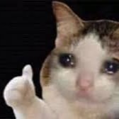 Аватар пользователя NOT Raping cats inc.