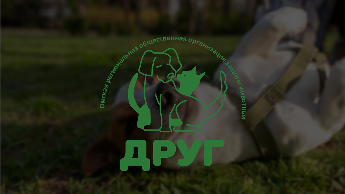Приют "Друг"| Фирменный стиль | Логотип — Изображение №1 — Брендинг на Dprofile