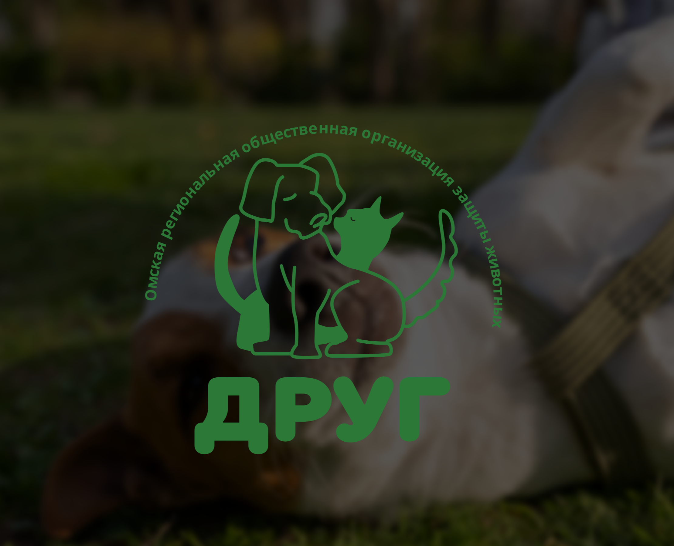 Приют "Друг"| Фирменный стиль | Логотип — Брендинг на Dprofile