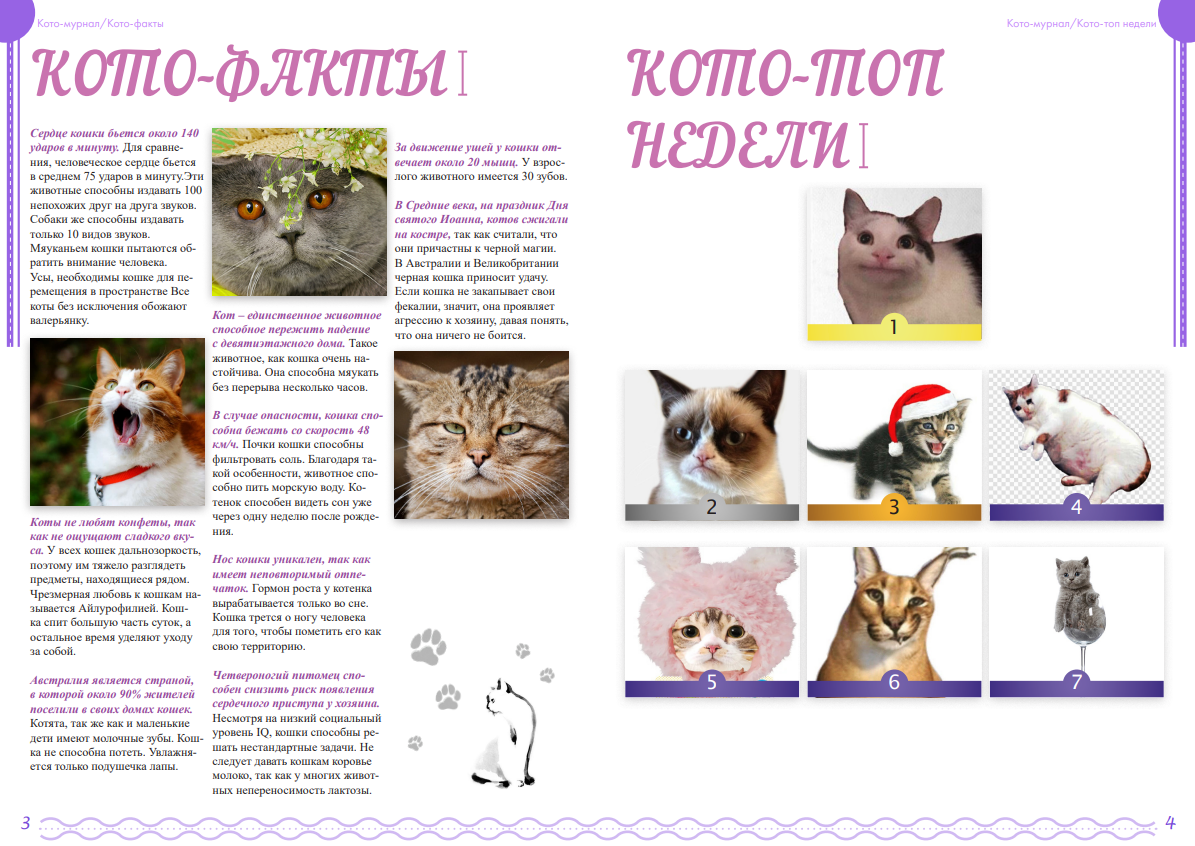 Выпускное портфолио (2021-2024) — Изображение №67 — Брендинг на Dprofile