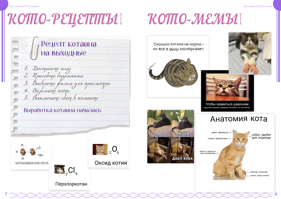 Выпускное портфолио (2021-2024) — Изображение №69 — Брендинг на Dprofile